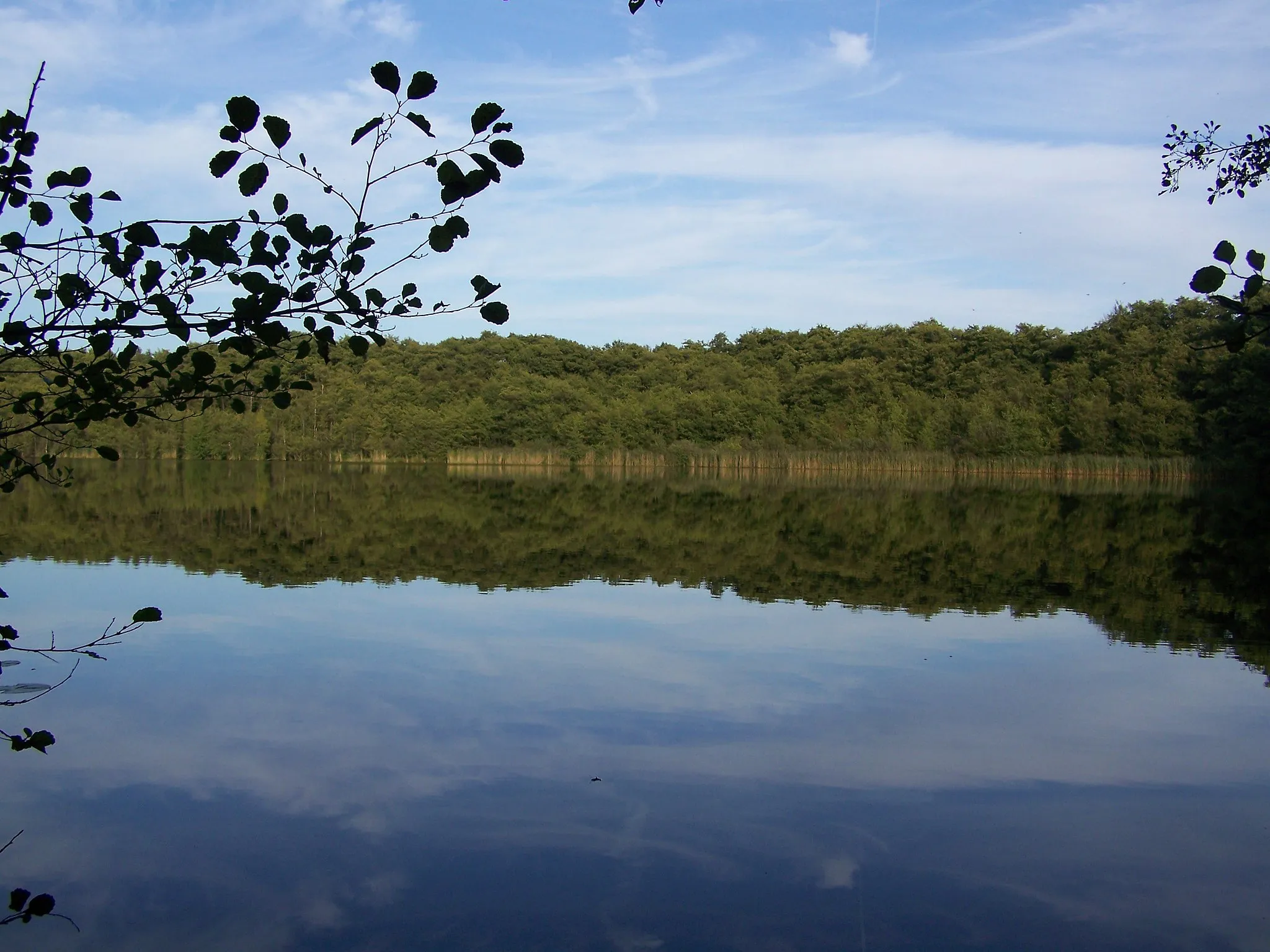 Photo showing: Blick auf die Seefläche das Großen Heiligen Meeres zwischen Hopsten und Obersteinbeck.