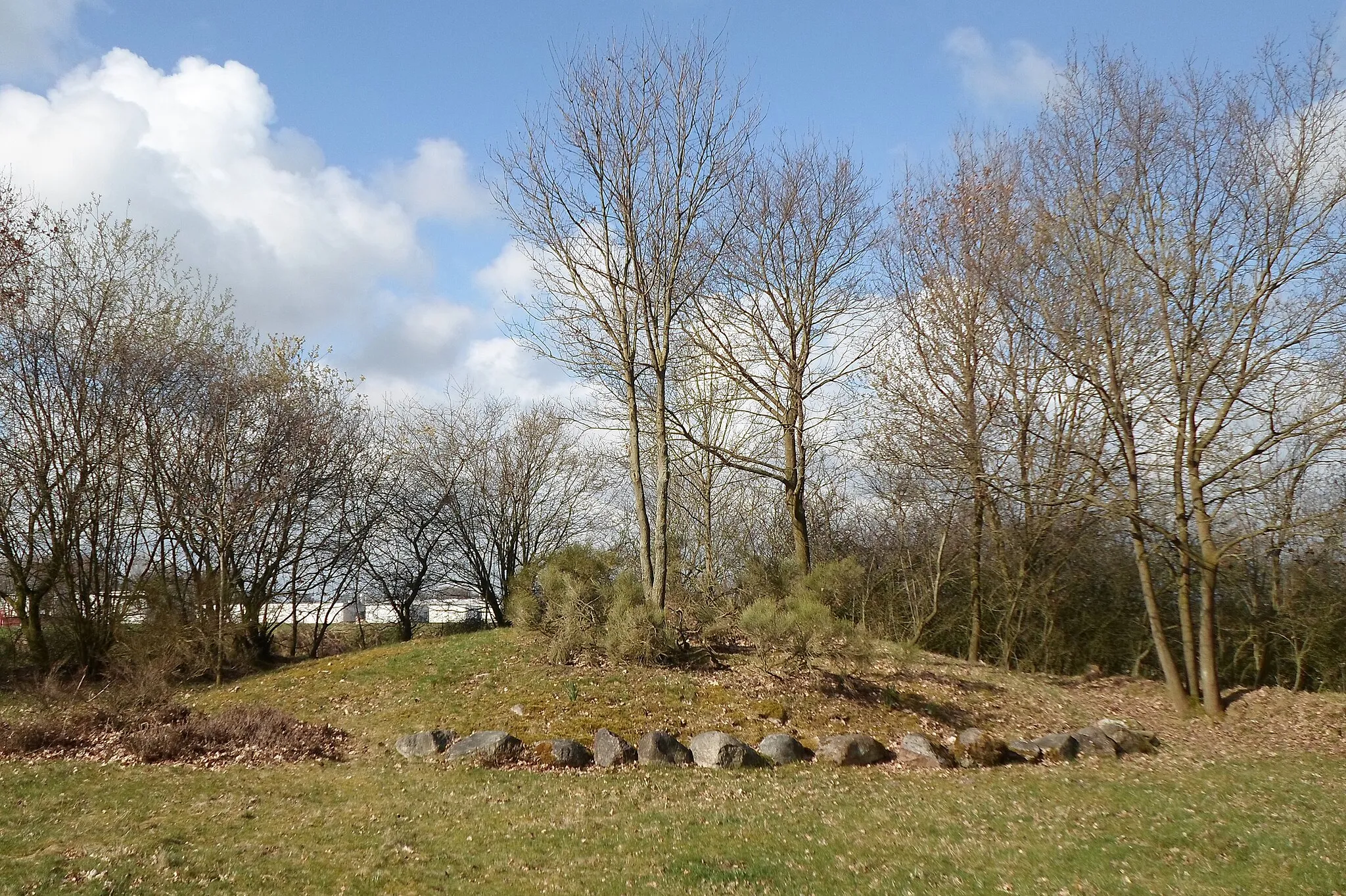 Photo showing: Grave mound in Ganderkesee