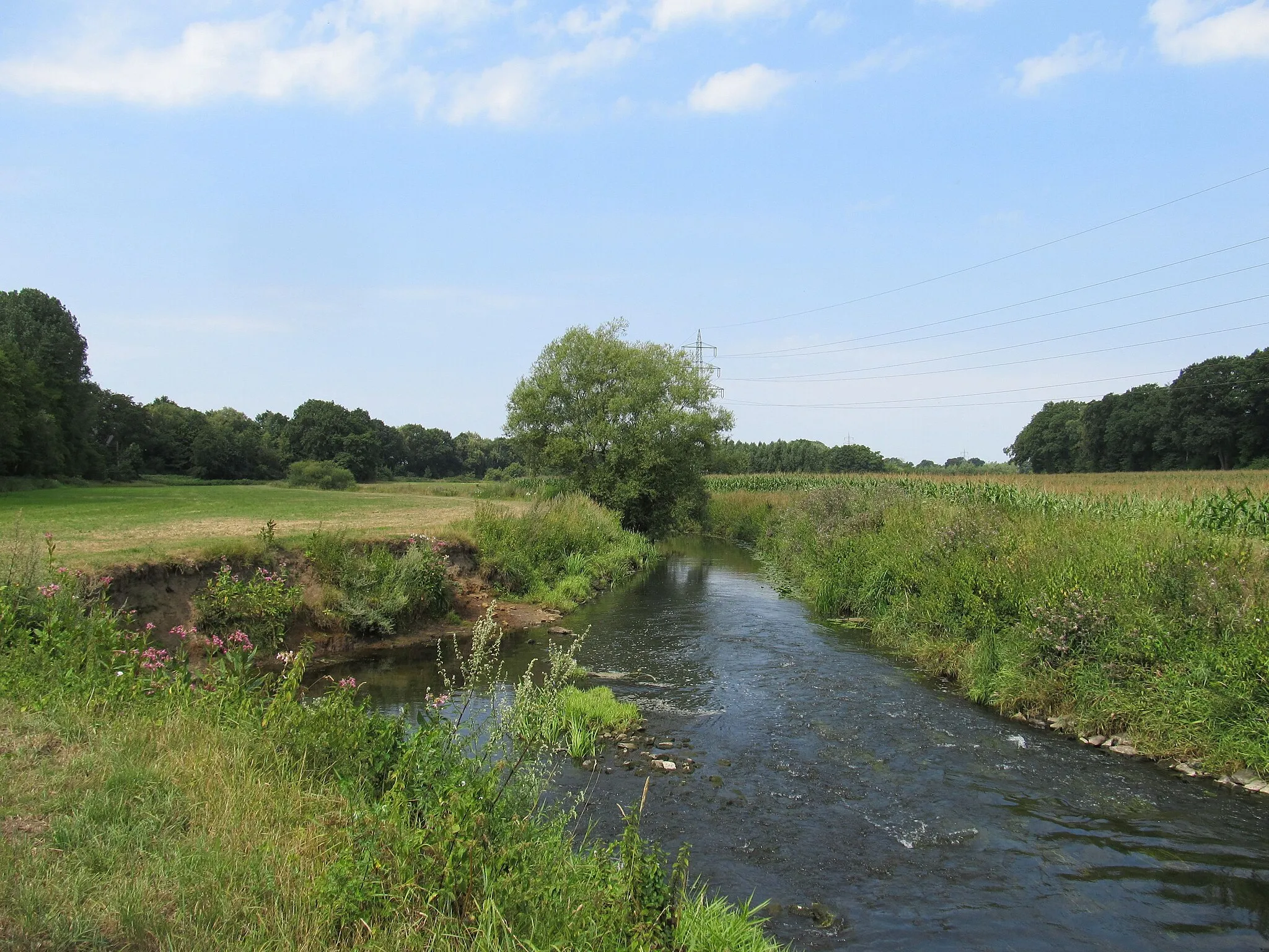 Photo showing: Hase (Fluss) unweit des Stichkanals in Hollage