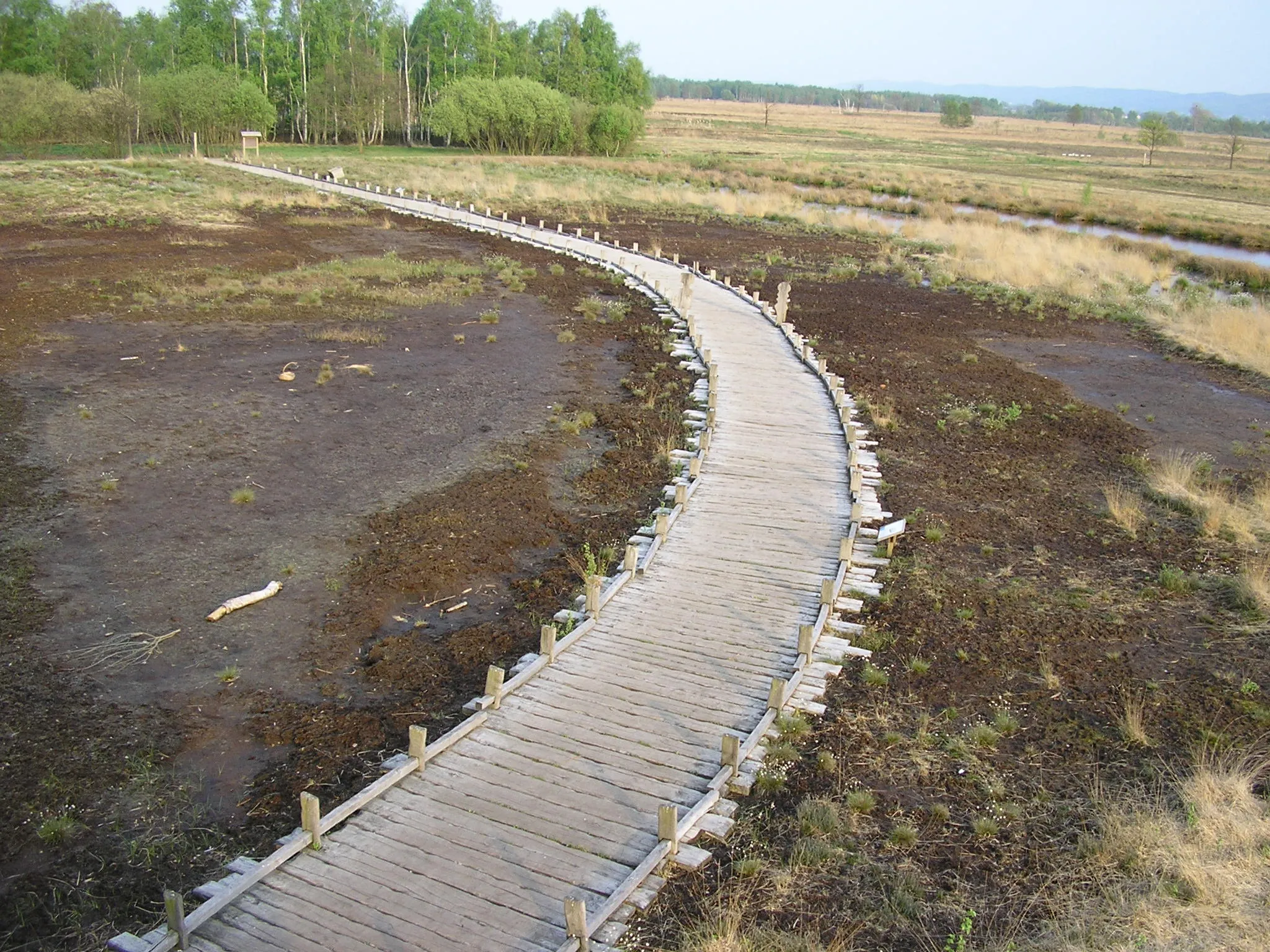 Photo showing: Weg im Großen Torfmoor, Lübbecke oder Hille, Nordrhein-Westfalen