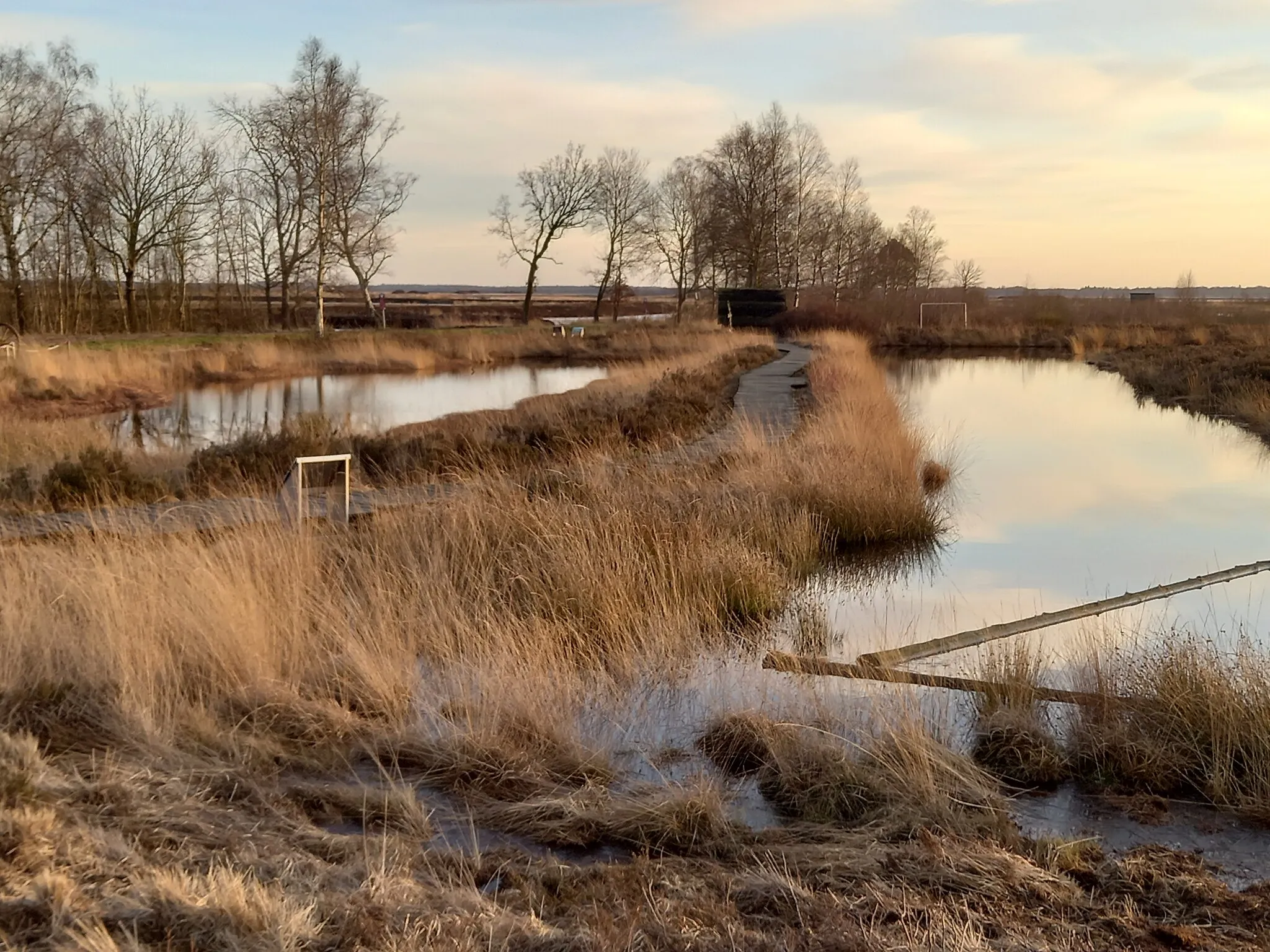 Photo showing: Pfad durch das Außengelände des Hauses im Moor (Naturinformationszentrum) im Goldenstedter Moor (Landkreis Vechta in Niedersachsen)