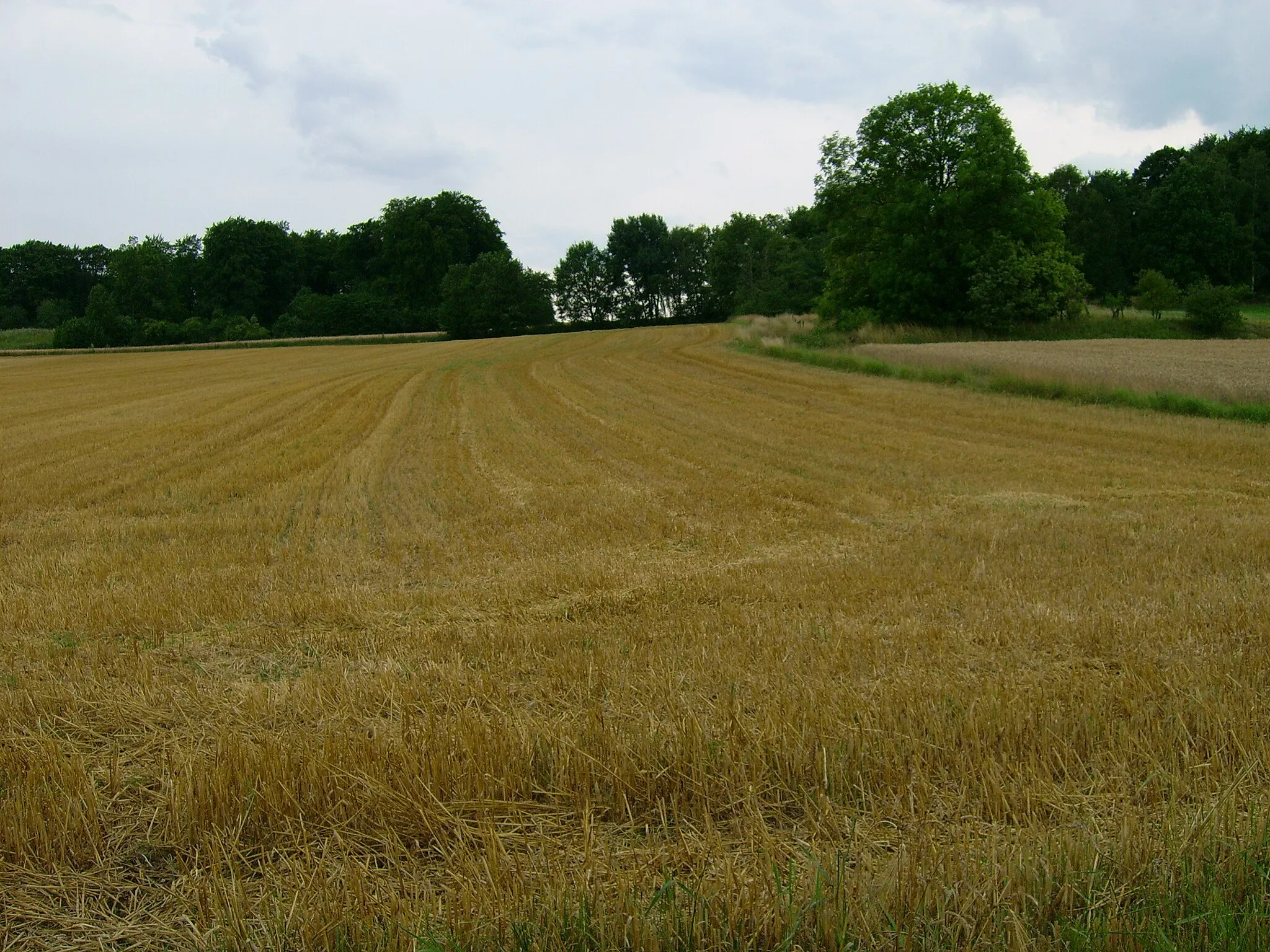 Photo showing: Blick zum Gipfel des Roten Berges in Hasbergen