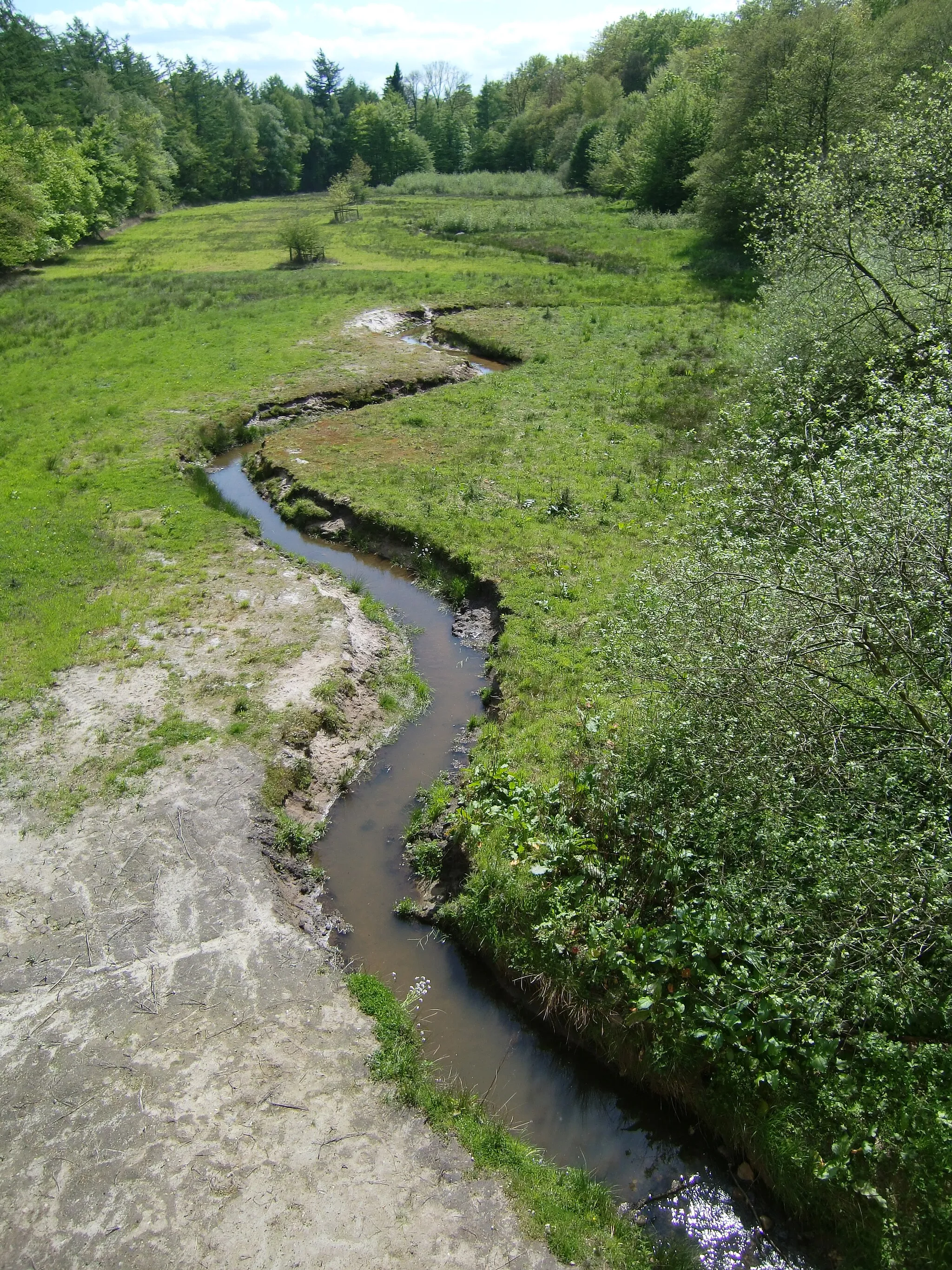 Photo showing: Die Jagdhüttenwiese mit der Brookbäke im Hasbruch