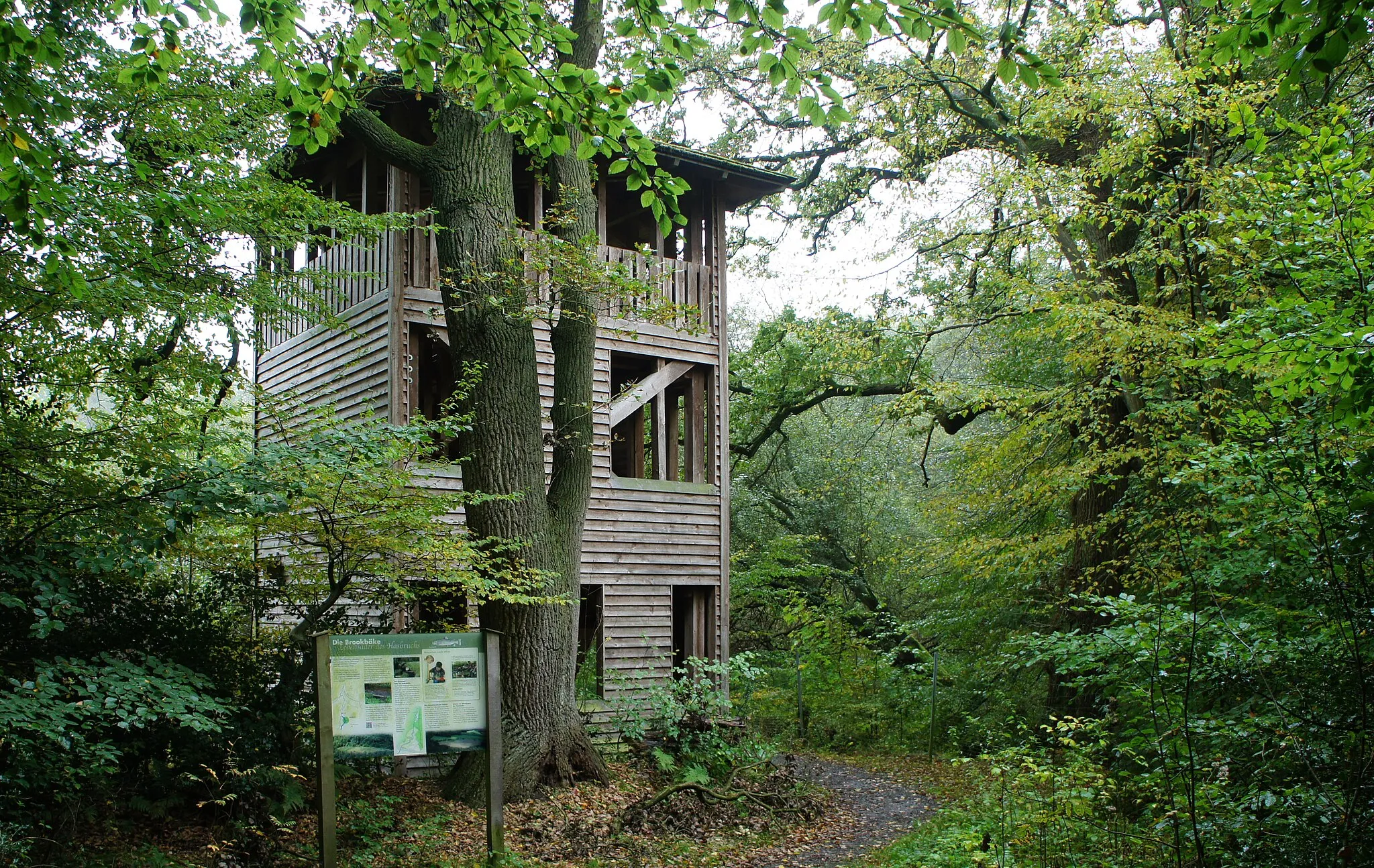 Photo showing: 2010 im Hasbruch errichteter 12 Meter hoher Aussichtsturm aus Douglasien-Holz mit Blick auf die Jagdhüttenwiese