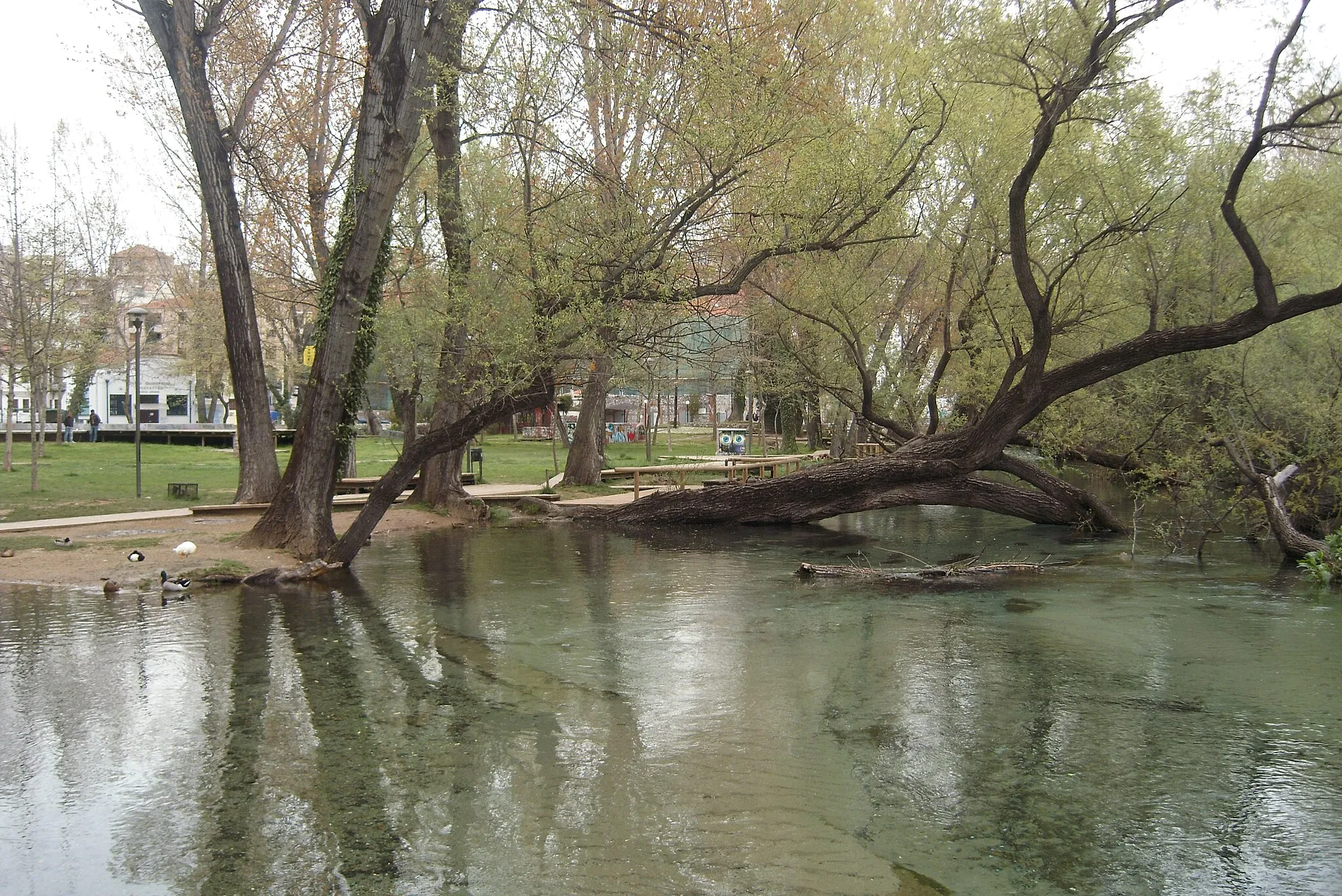 Photo showing: Agia Varvara Park