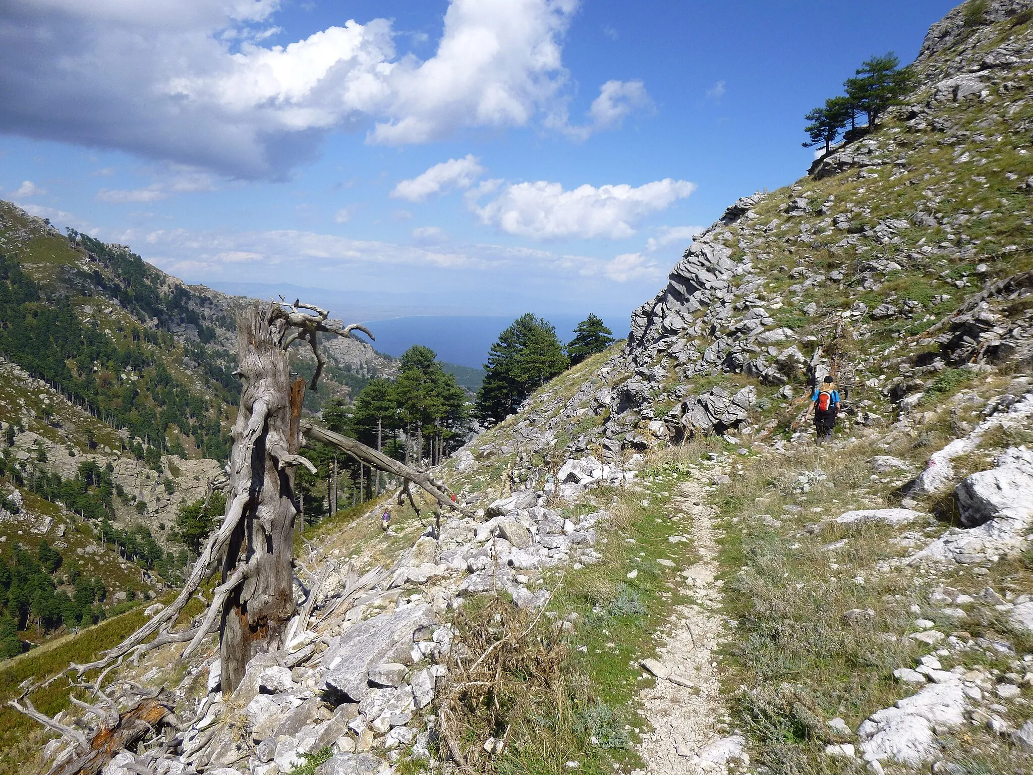 Photo showing: Abstiegsweg vom 1.204 m hohen Ipsarion nach Potamia.
Insel Thassos, Griechenland.