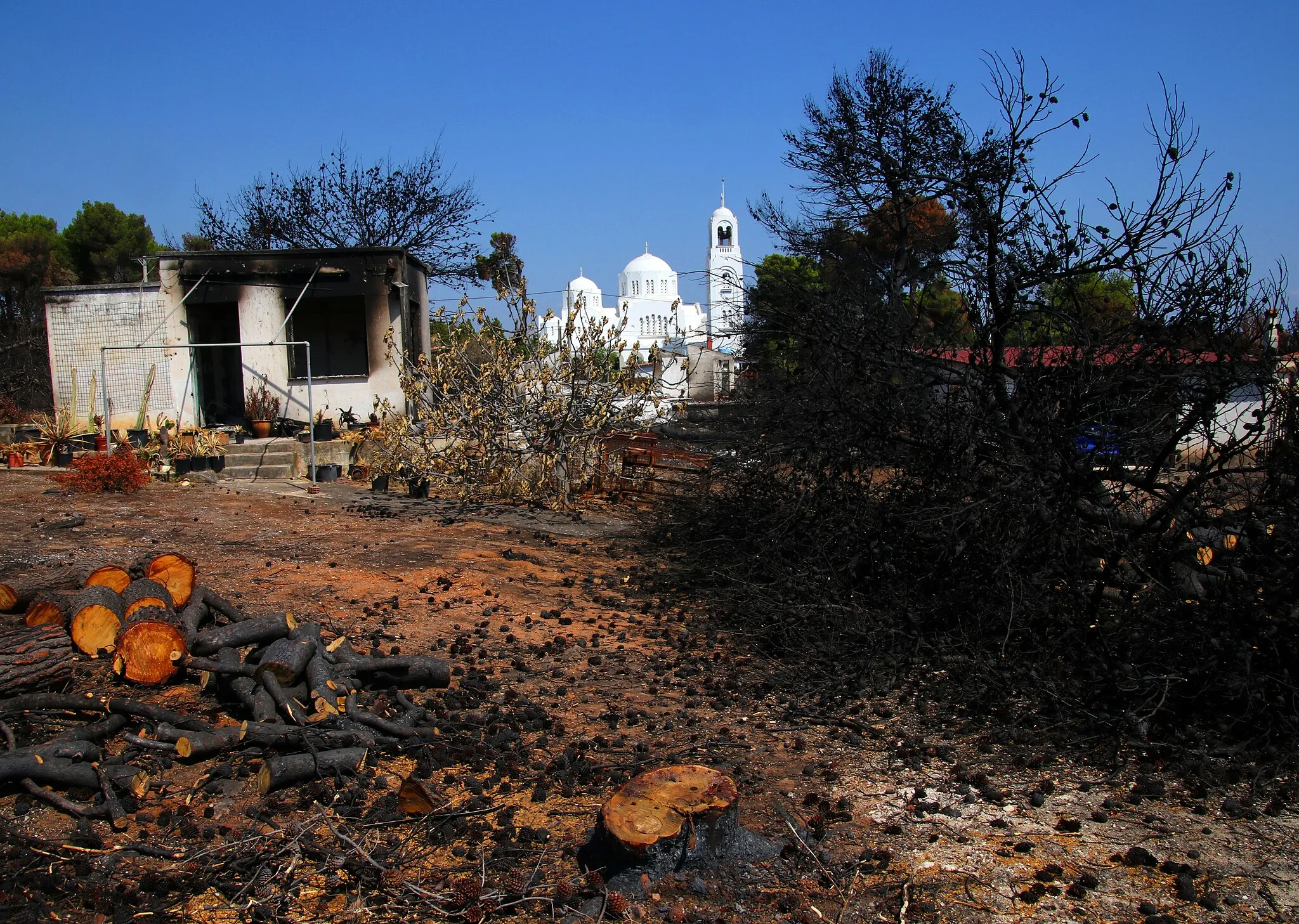 Photo showing: Mati. After the forest fires.