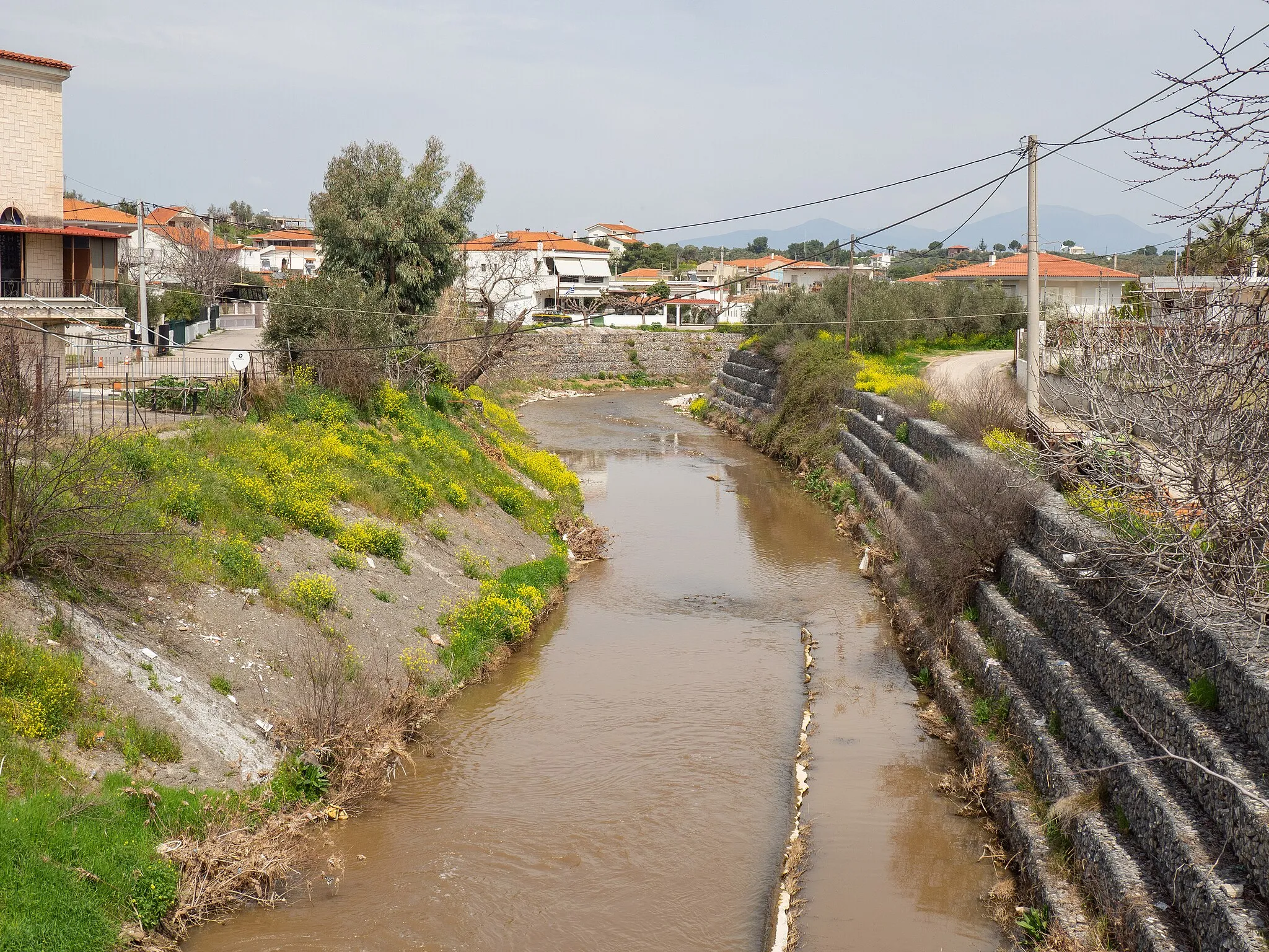 Photo showing: Asopos river, as it passes through Sykamino, Attica.