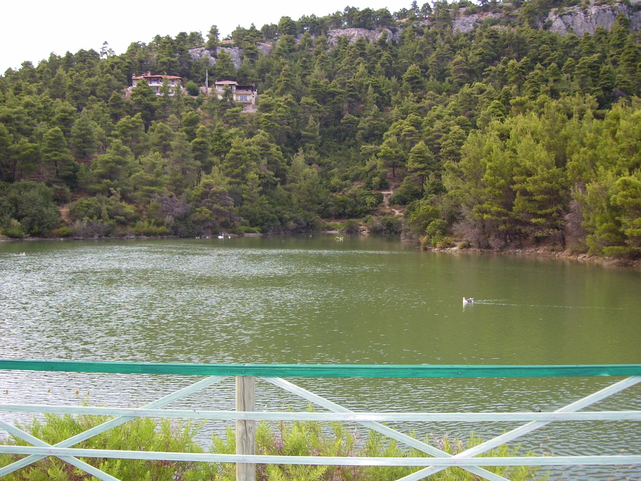 Photo showing: Lake Beletsi or Kithara in Parnitha mountain, Attica