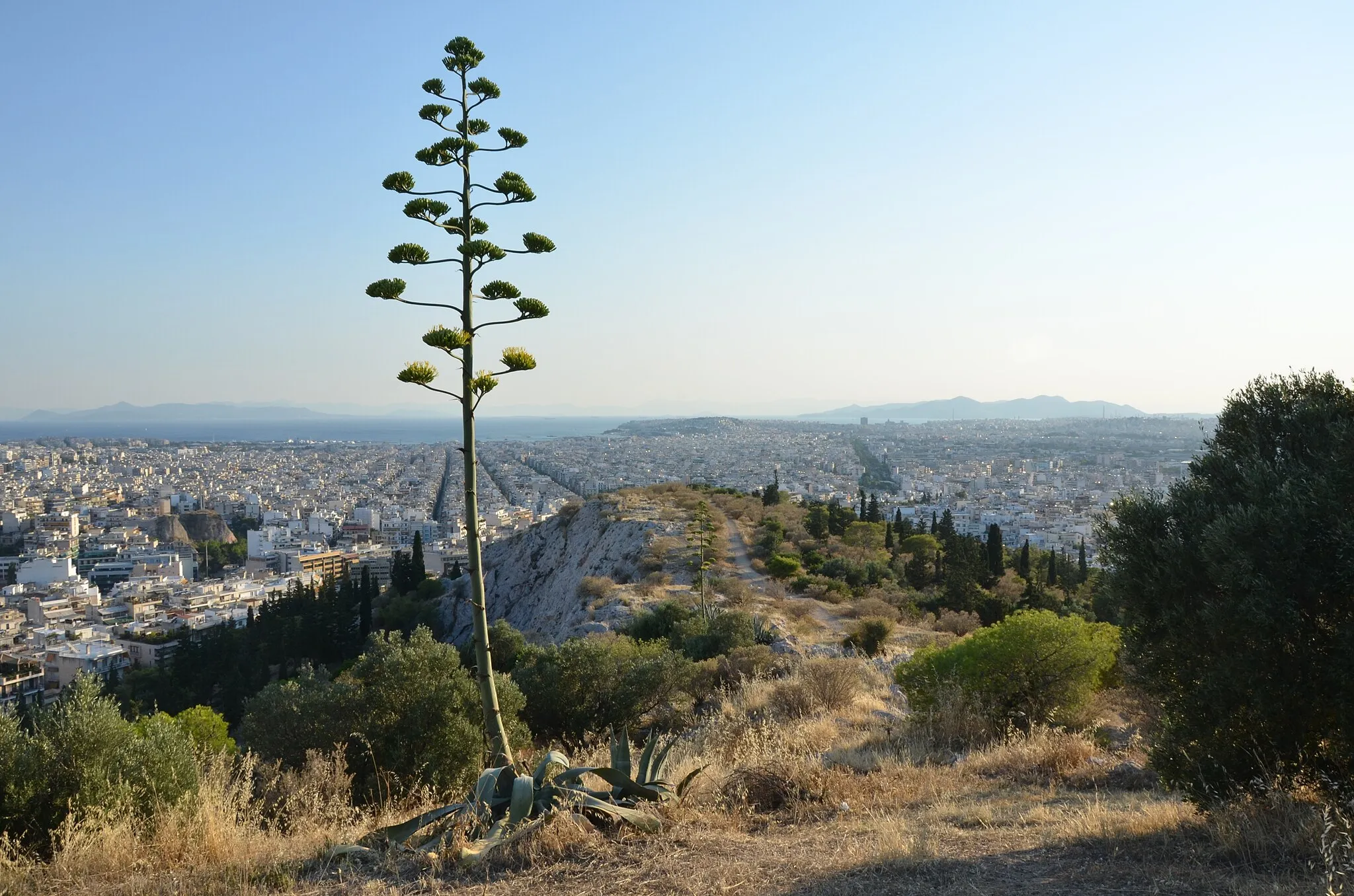 Photo showing: Filopappos hill - Looking south