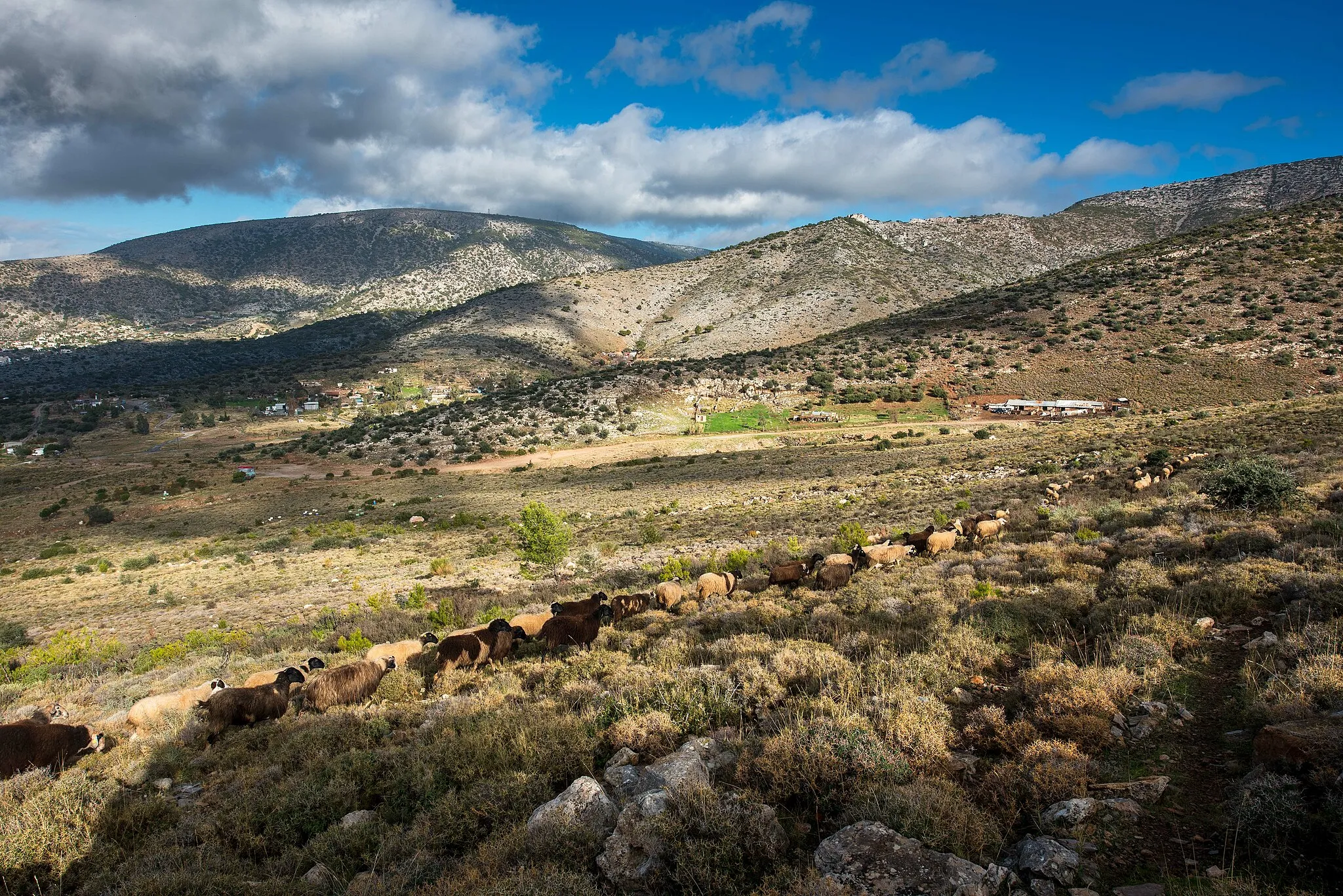 Photo showing: This is a a picture of a Natura 2000 protected area with ID