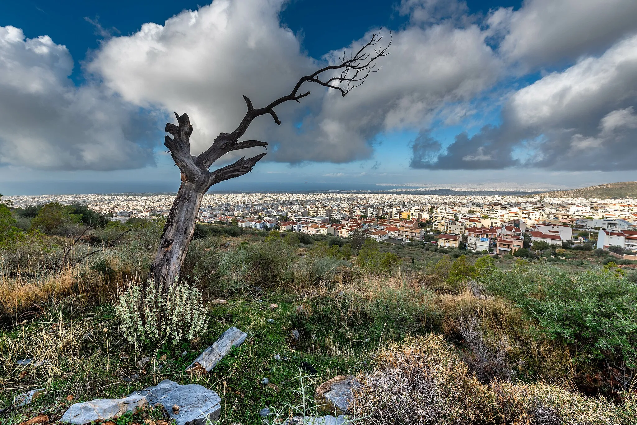 Photo showing: This is a a picture of a Natura 2000 protected area with ID