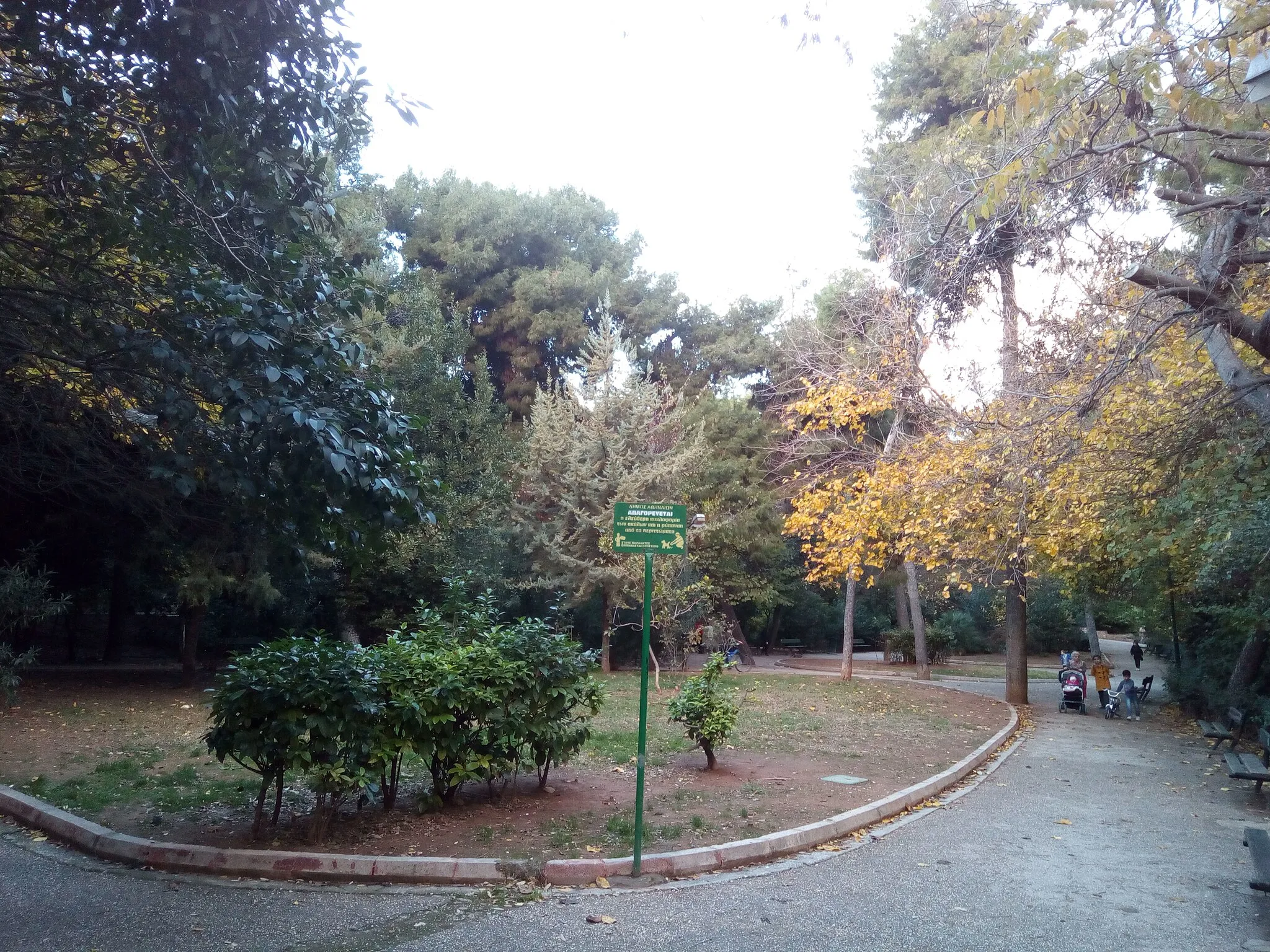 Photo showing: Part of the Pangrati grove