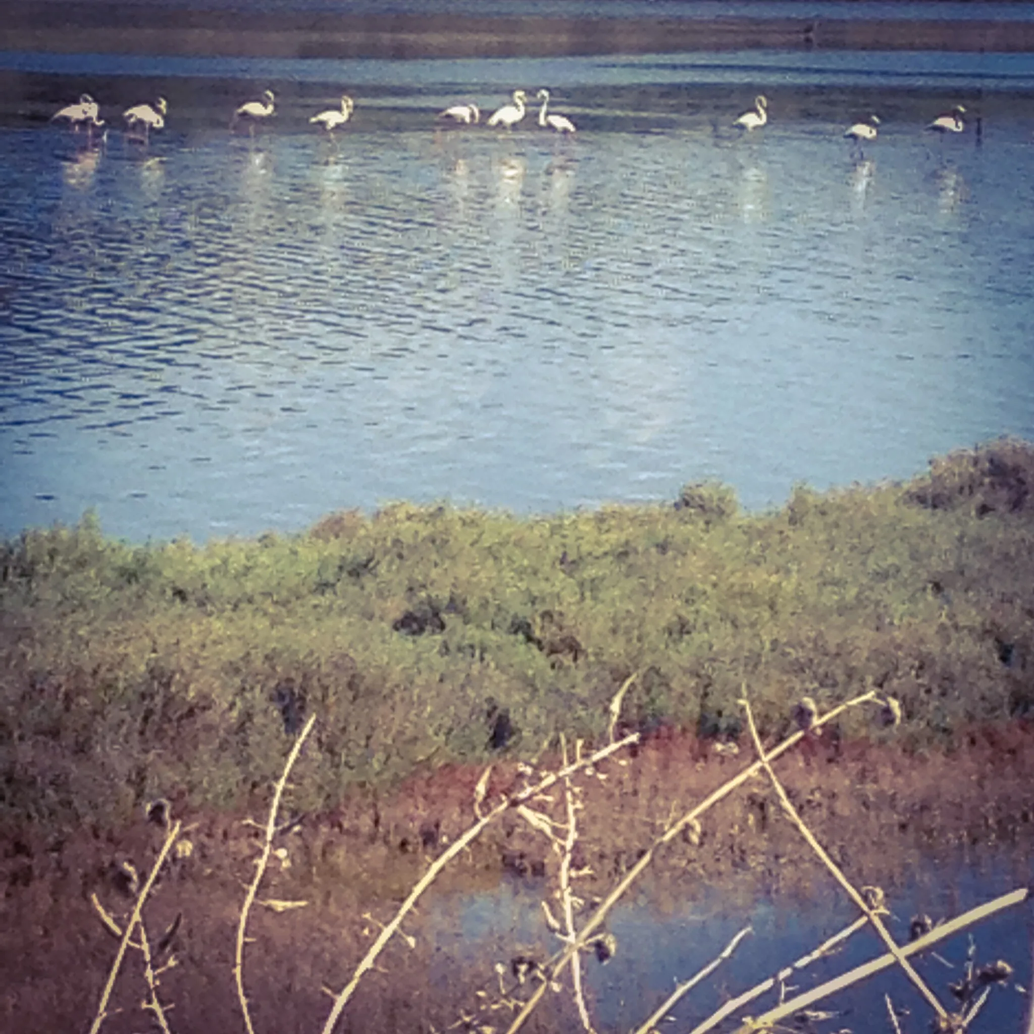 Photo showing: This is a a picture of a Natura 2000 protected area with ID