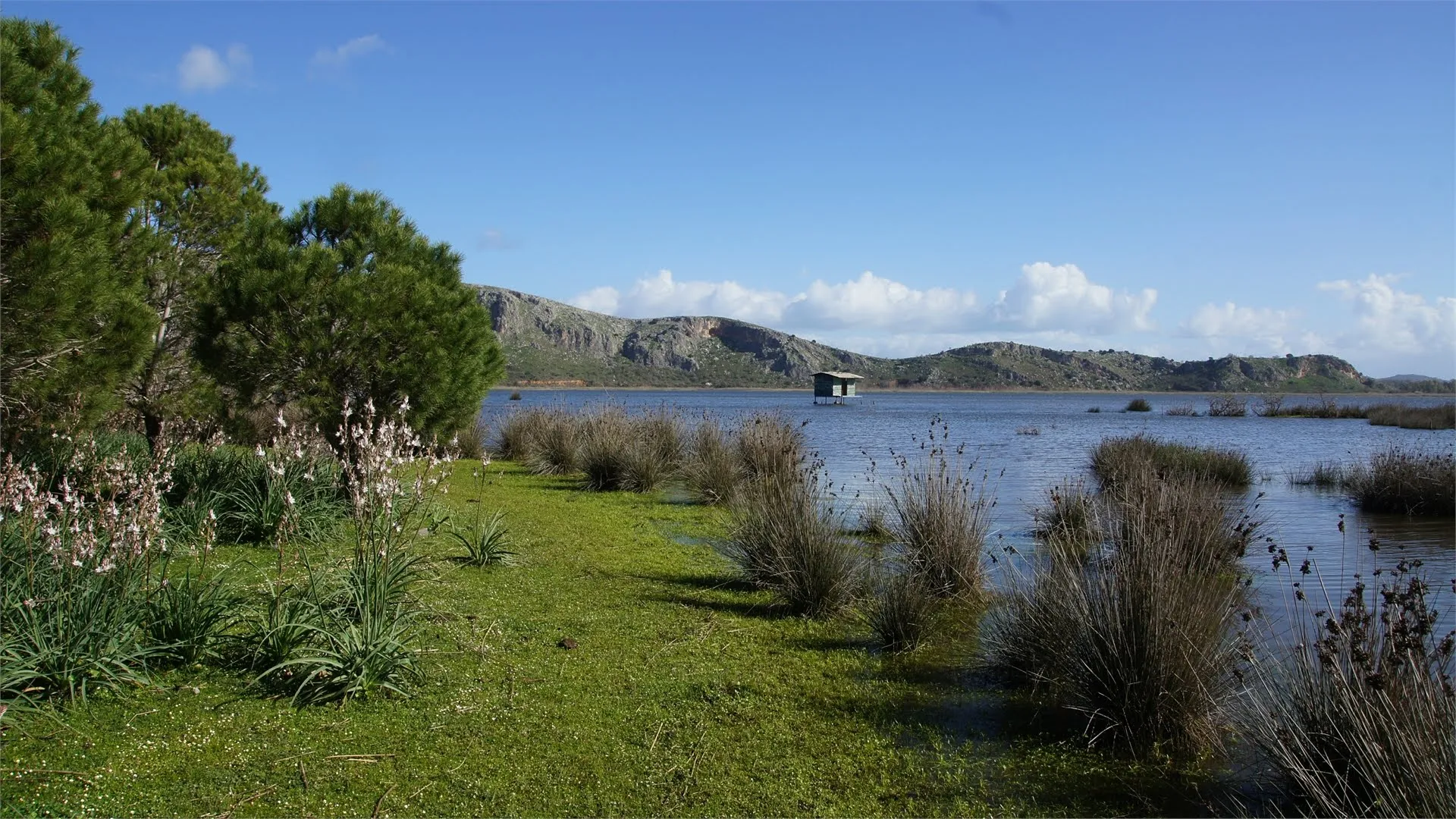 Photo showing: This is a a picture of a Natura 2000 protected area with ID