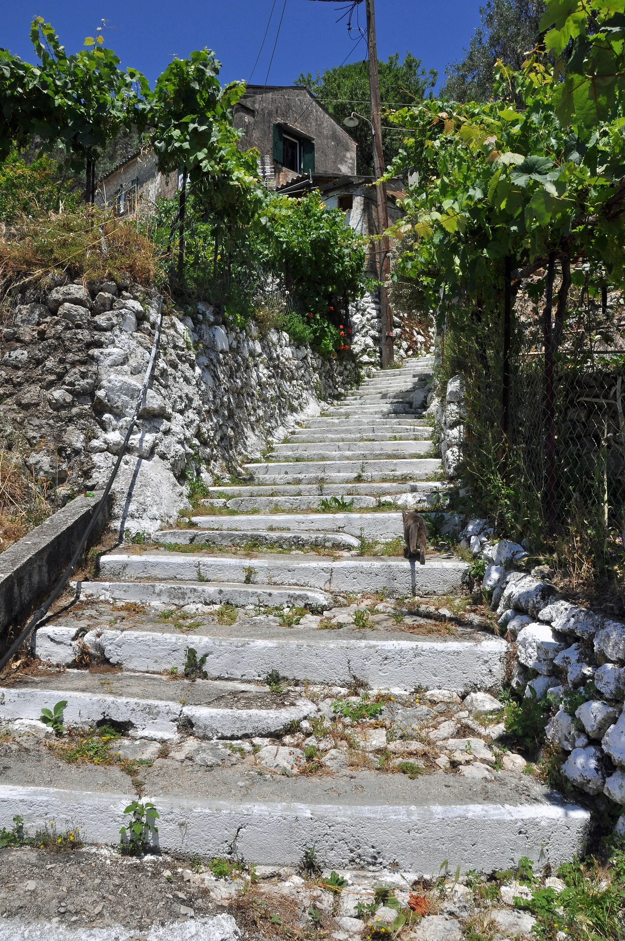 Photo showing: Corfu (Greece): stairway in the village of Agios Markos