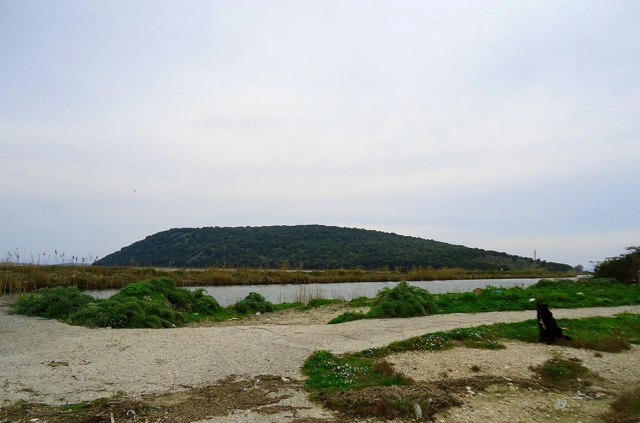 Photo showing: Salaora's Hill, view from Tsoukalio, Ambracian Gulf, Arta, Greece