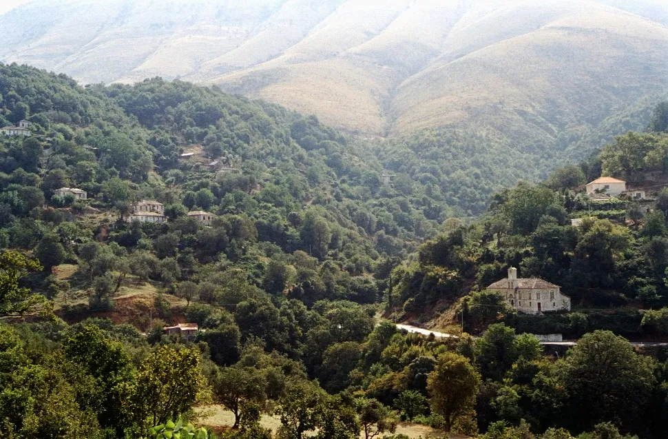 Photo showing: Forest – village Muzina between Saranda and Gjirokastra, Southern Albania