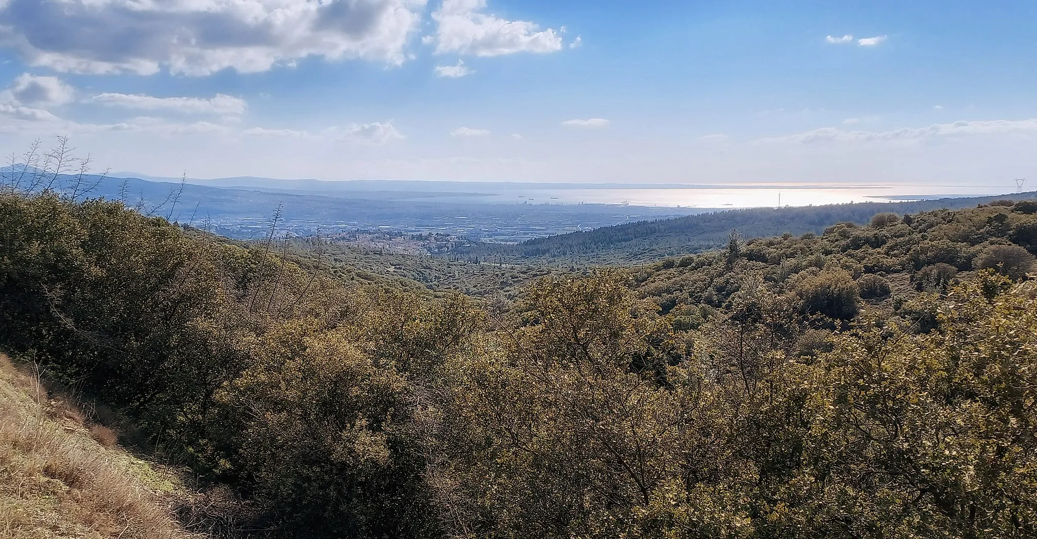 Photo showing: Άποψη της Θεσσαλονίκης και του Θερμαϊκού Κόλπου από το Περιαστικό Δάσος Ωραιοκάστρου