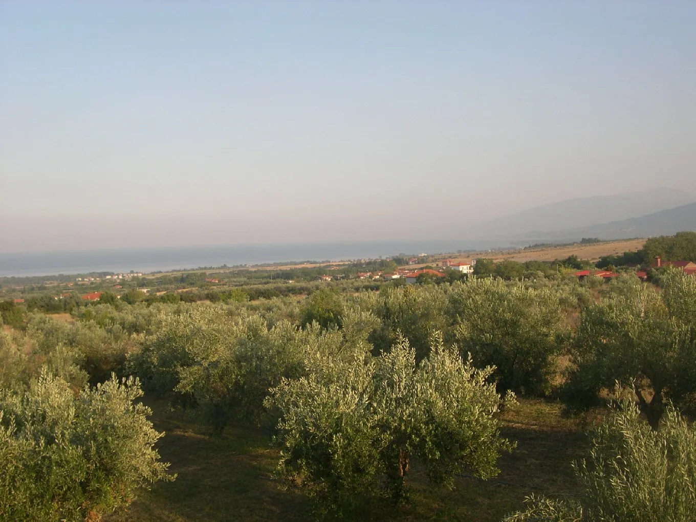 Photo showing: View of Plaka, in Litochoro, Pieria region; northern Greece.