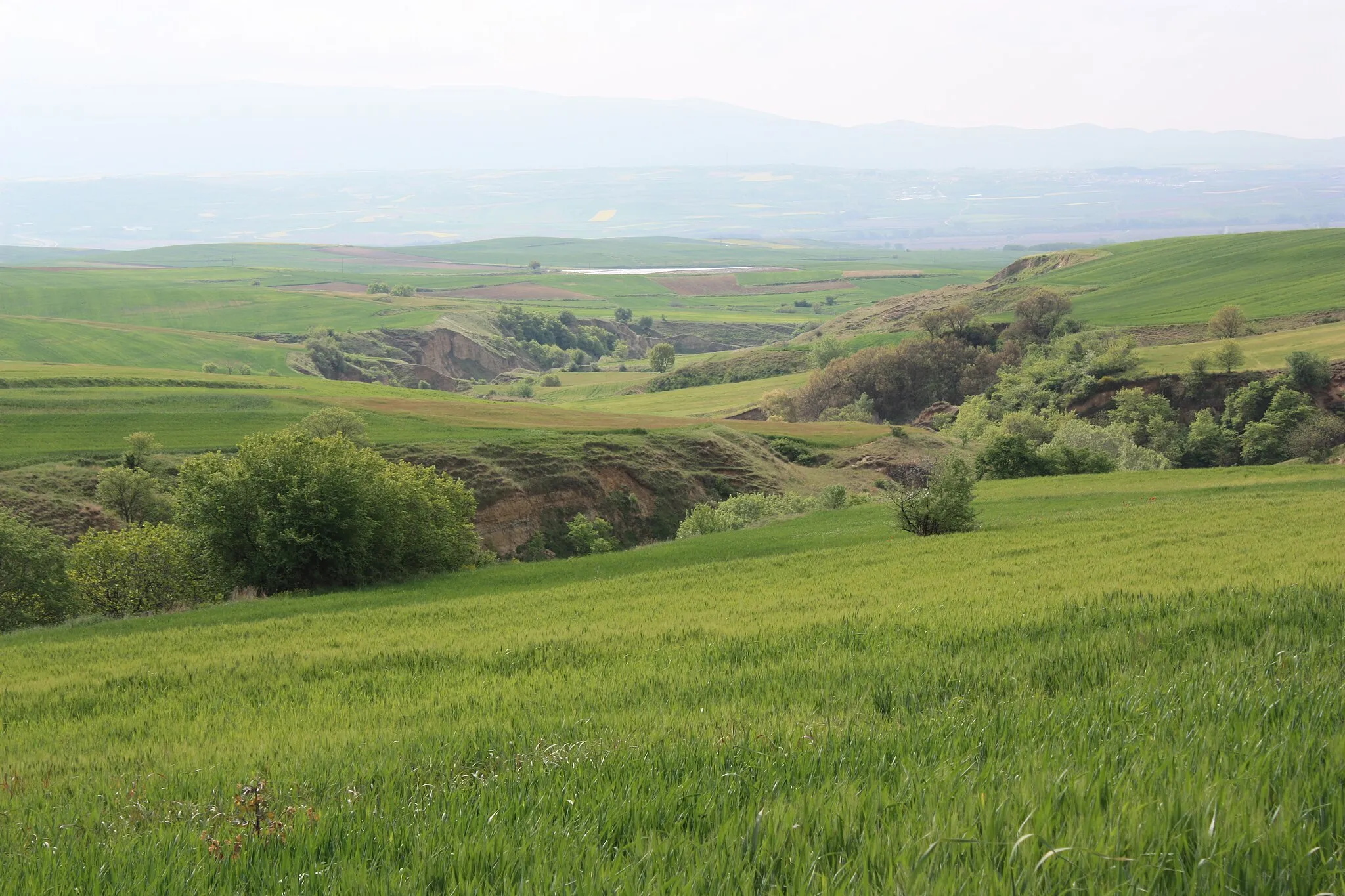 Photo showing: Countryside in Nea Zichni (Toumba location)