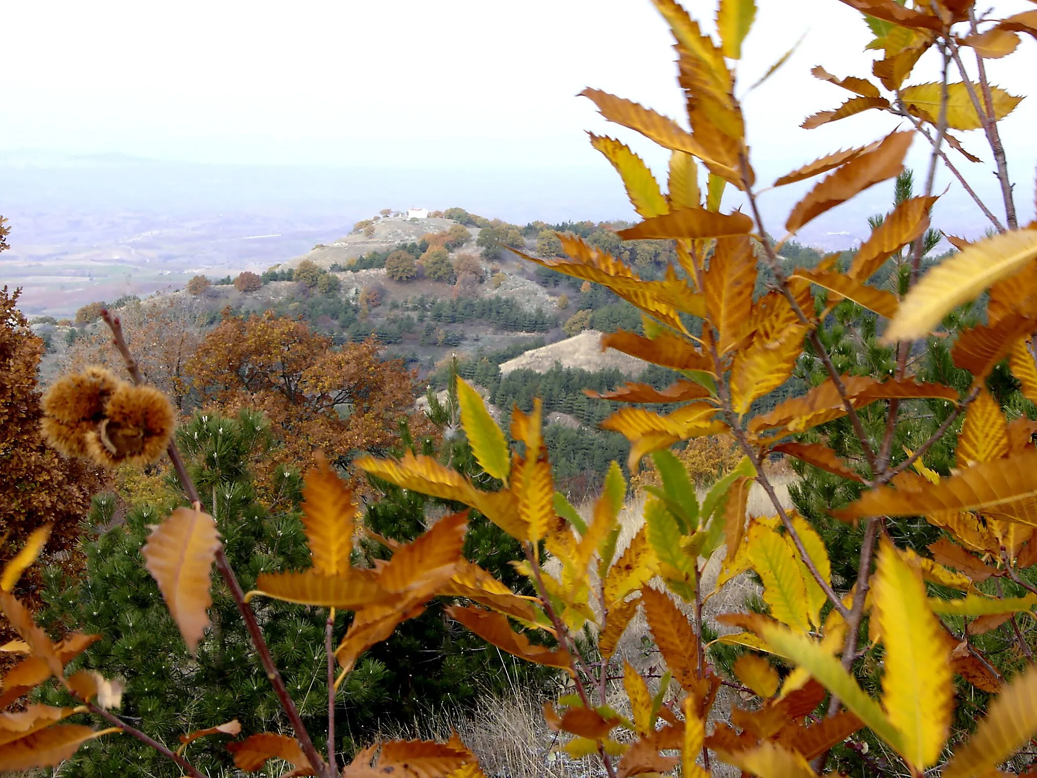 Photo showing: ΛΑΧΑΝΑΣ-ΛΕΥΚΟΧΩΡΙ(Αι-Γιώργης)