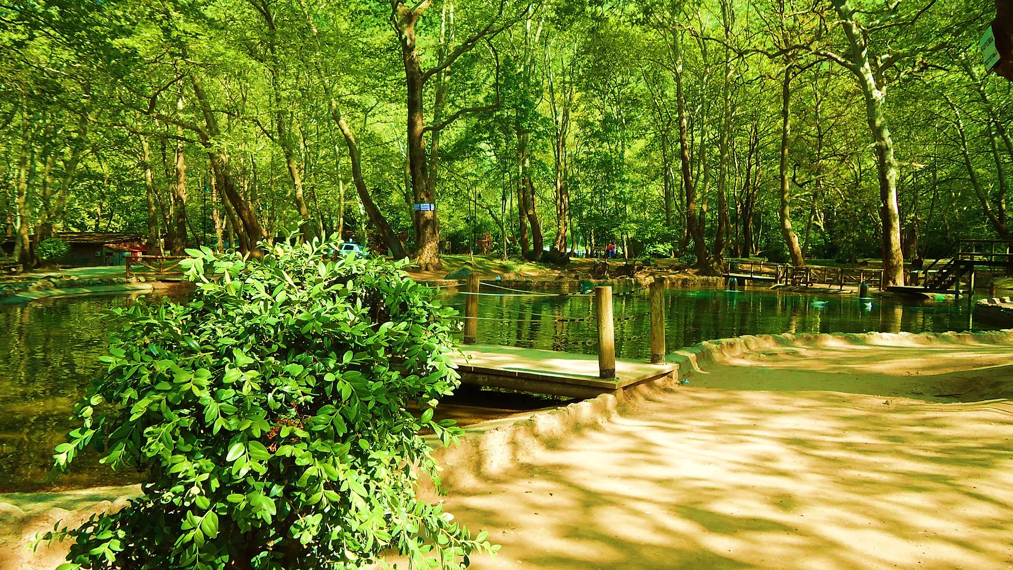 Photo showing: A lake in saint Nicholas Park, Naousa