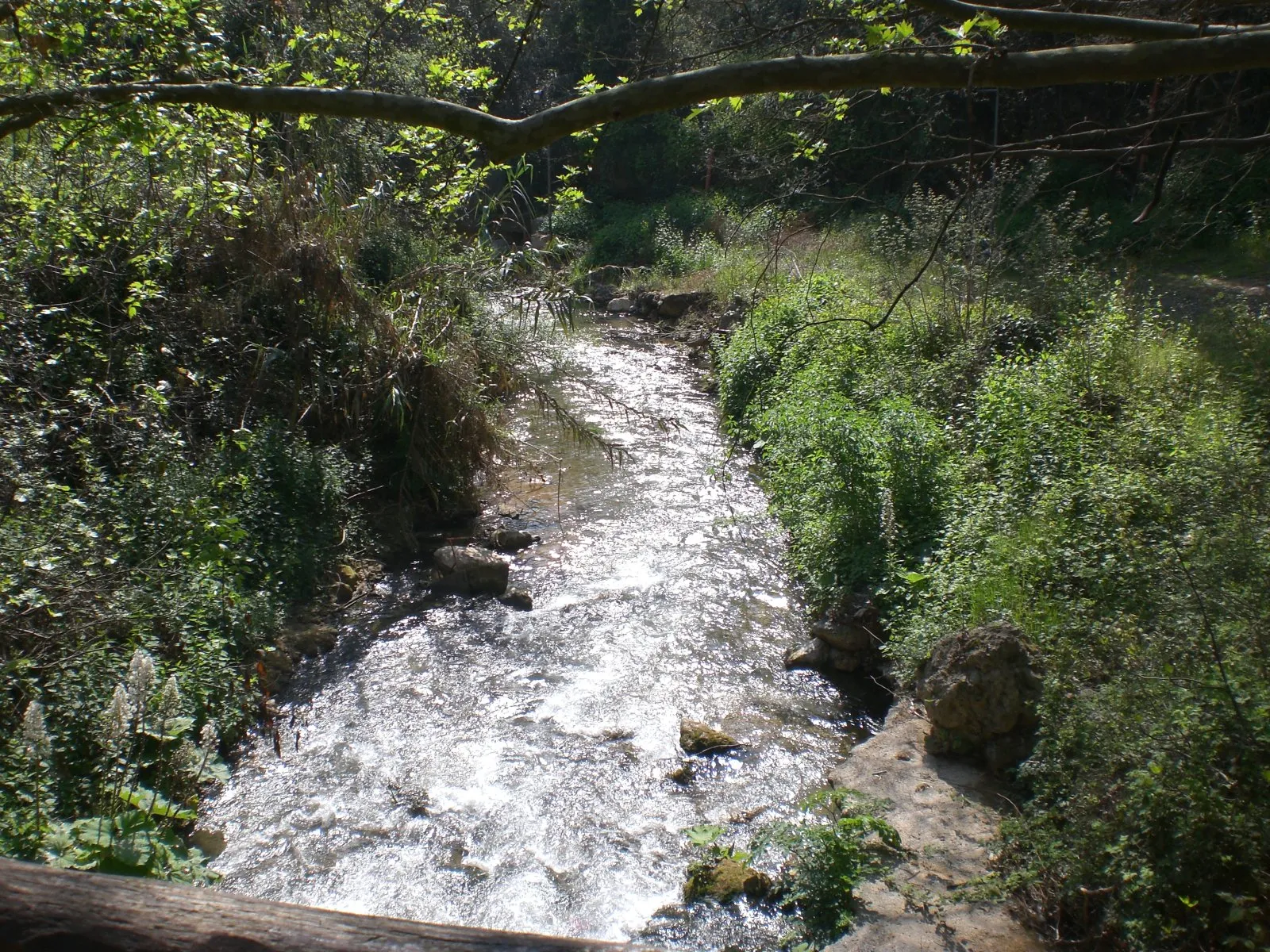 Photo showing: Close up of river running through Veria