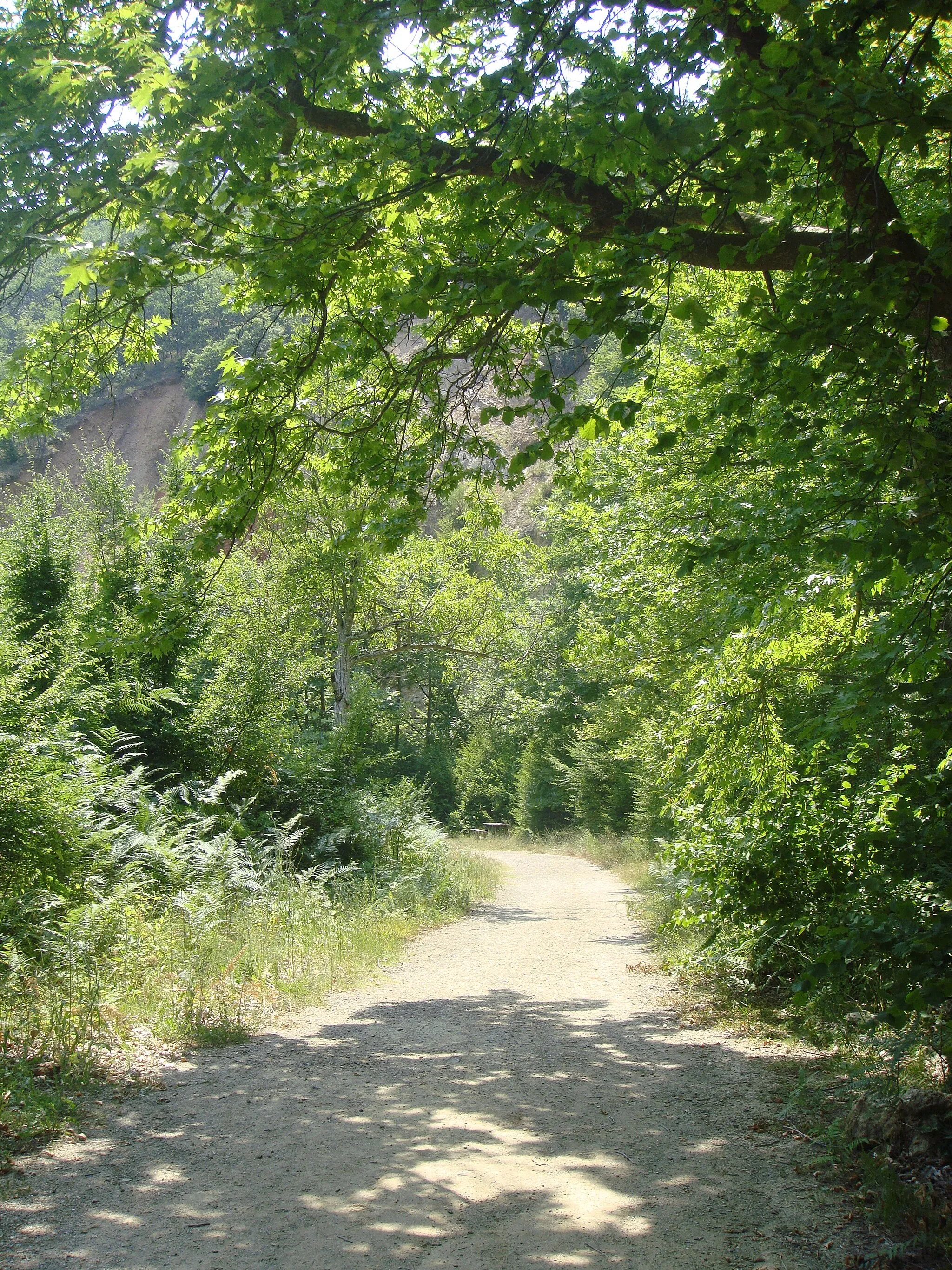 Photo showing: This is a a picture of a Natura 2000 protected area with ID