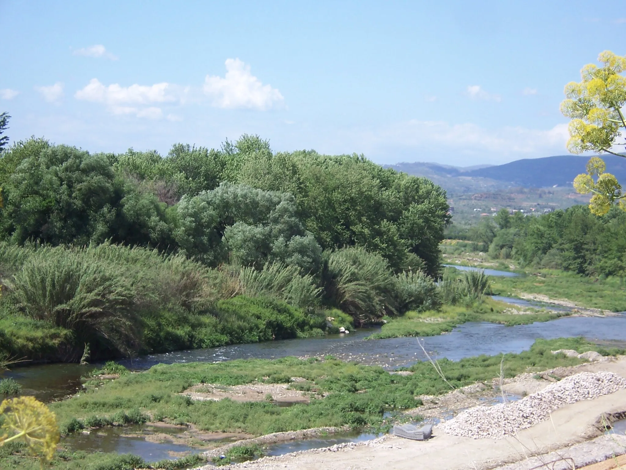 Photo showing: Rivière Eurotas, quelques kilomètres en aval de Mistra