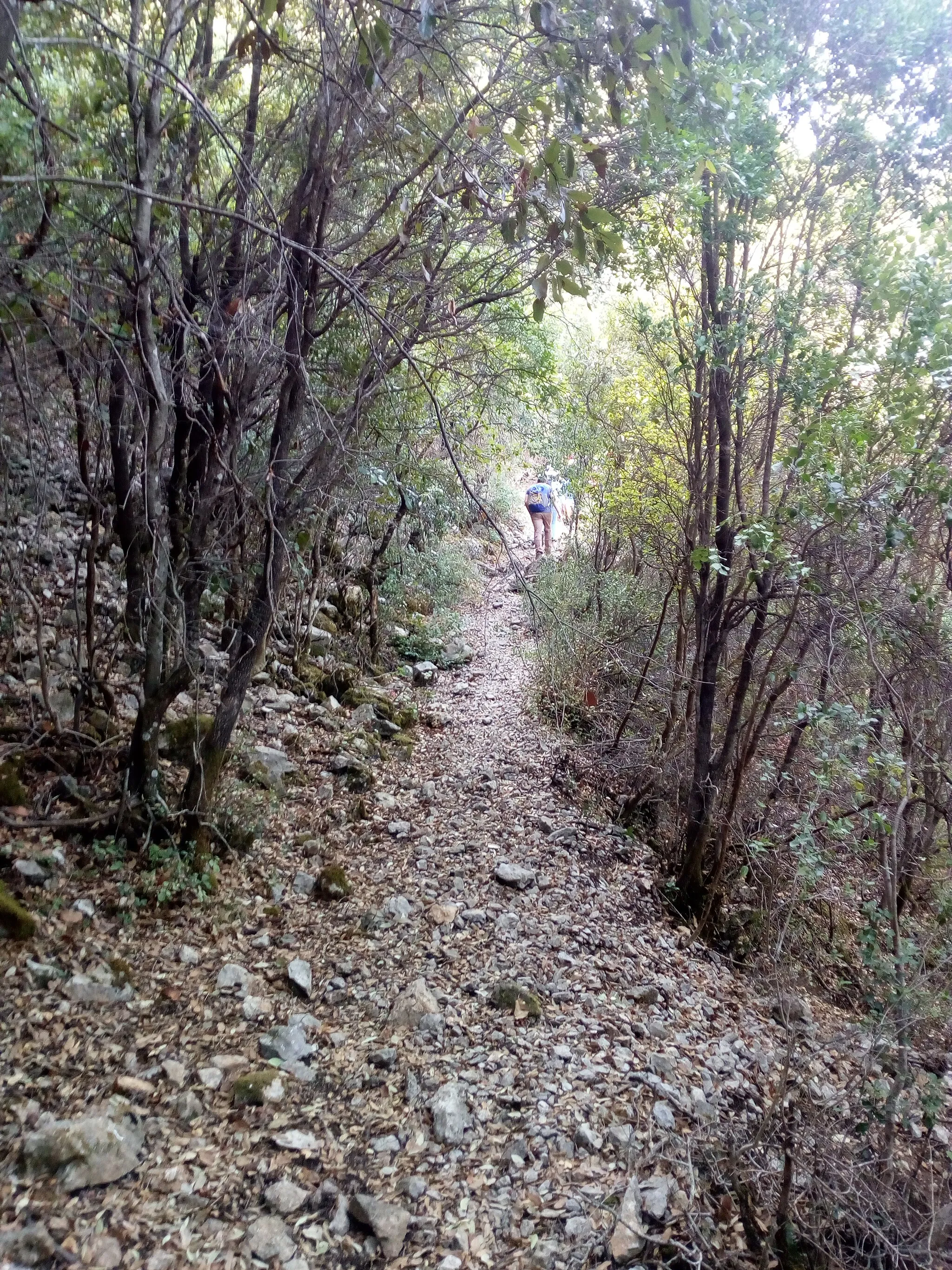 Photo showing: Hiking near Platanos, Arkadia, Greece.