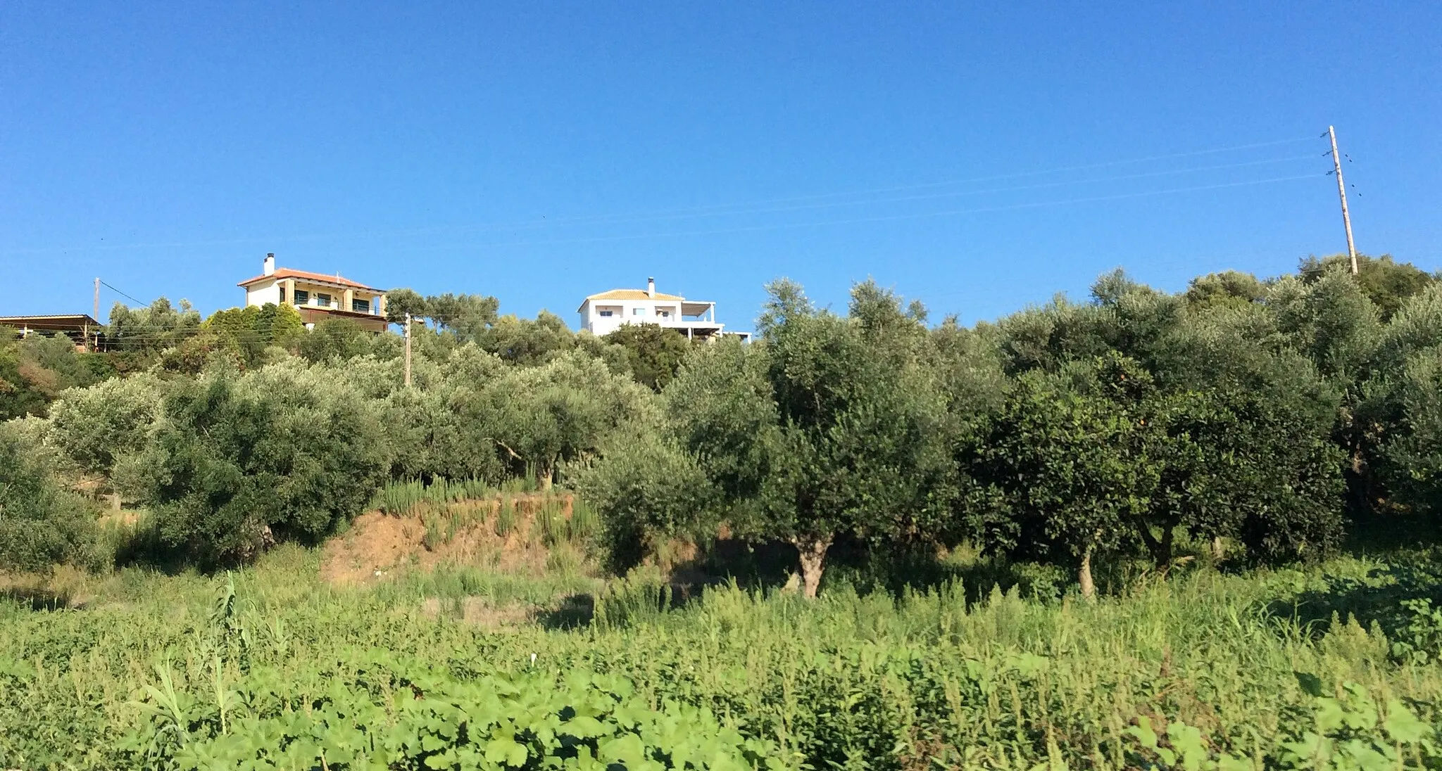 Photo showing: Ρίκια Μεσσηνίας - Άποψη τμήματος του οικισμού από τα νοτιοδυτικά.