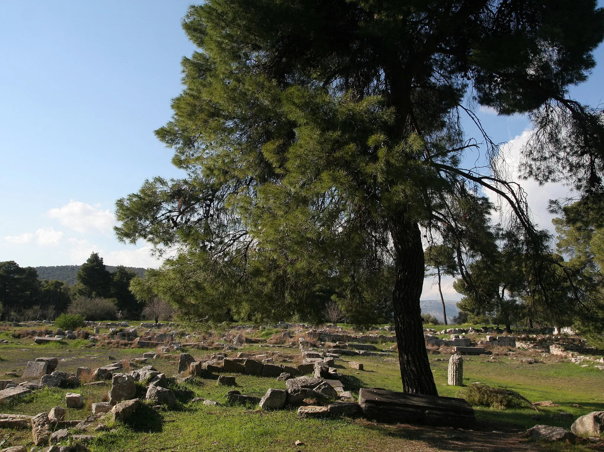 Photo showing: Epidaurus