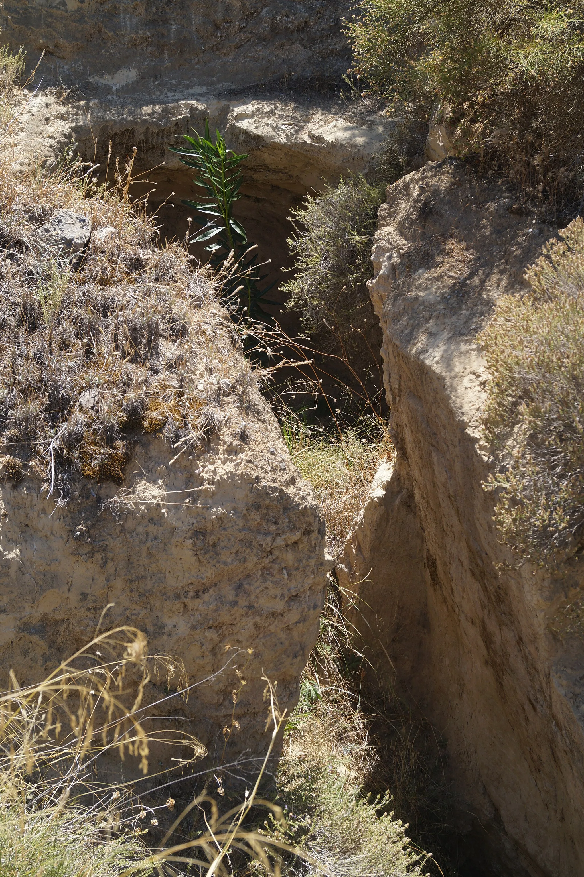 Photo showing: Kato Almyri, Corinthia, Greece: Dromos of tomb XXI of the mycenaean cemetery of Kato Almyri.