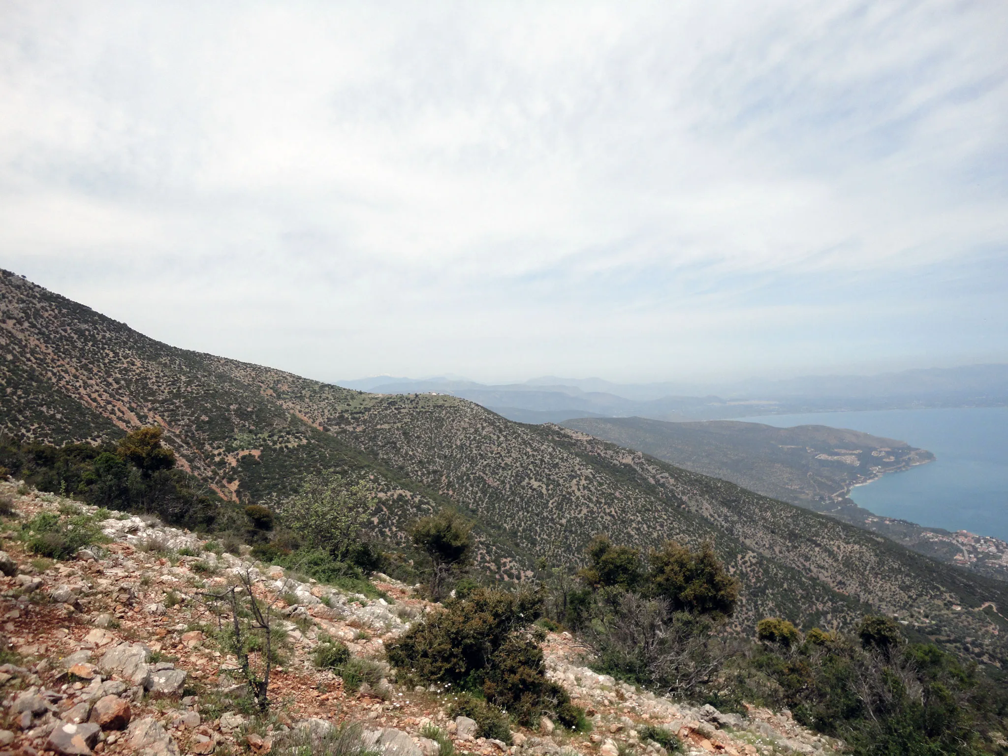 Photo showing: View from mountain Zavitsa of Arcadia looking towards Northeast. The Argolic Gulf is visible on the background, Xiropigado on the right.