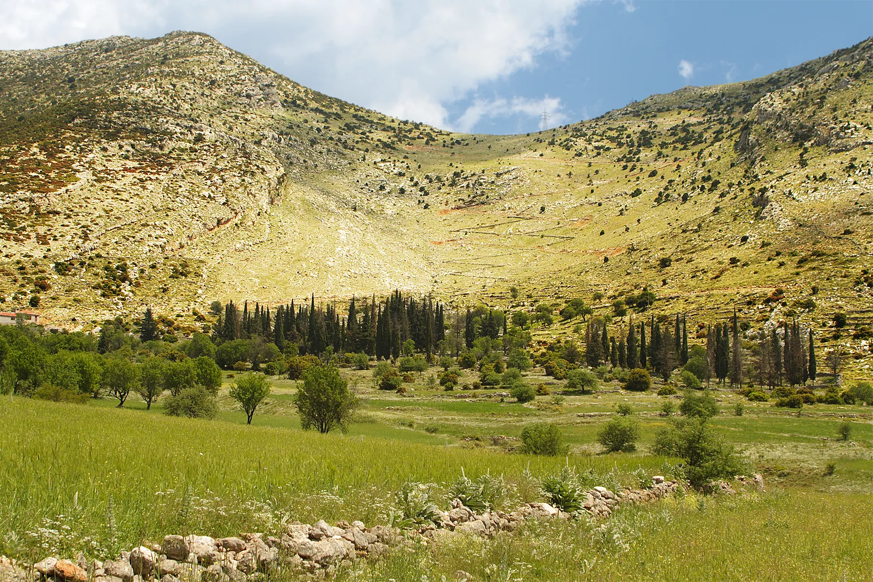 Photo showing: The path of the „Klimakos“ (Greek for “ladder”) is one of the most famous ancient access roads in Arcadia, a cross-country road that connected the ancient cities Mantineia and Tegea (today part of modern city Tripoli, Greece) with Athens and the Argolida. From Argos the road climbed up the slopes of Mount Artemisio. At its ridge there is the ancient passageway “Portitsa” ("δίοδο της Πορτίτσας"), a passage, deeply carved into the rocky ridge. Pausanias (110-180 AD) describes the descent “Ladder” in his famous “Description of Greece”: The “descent had steps that were once cut into it” (Book 8, chapter 6, section 4). The “Ladder”, in black emphasized zig zag line is well visible in the photo, though partly destroyed by a modern zig zag road for heavy machinery. The green bottom is covered by trees and fields, cultivated by the village Saga.