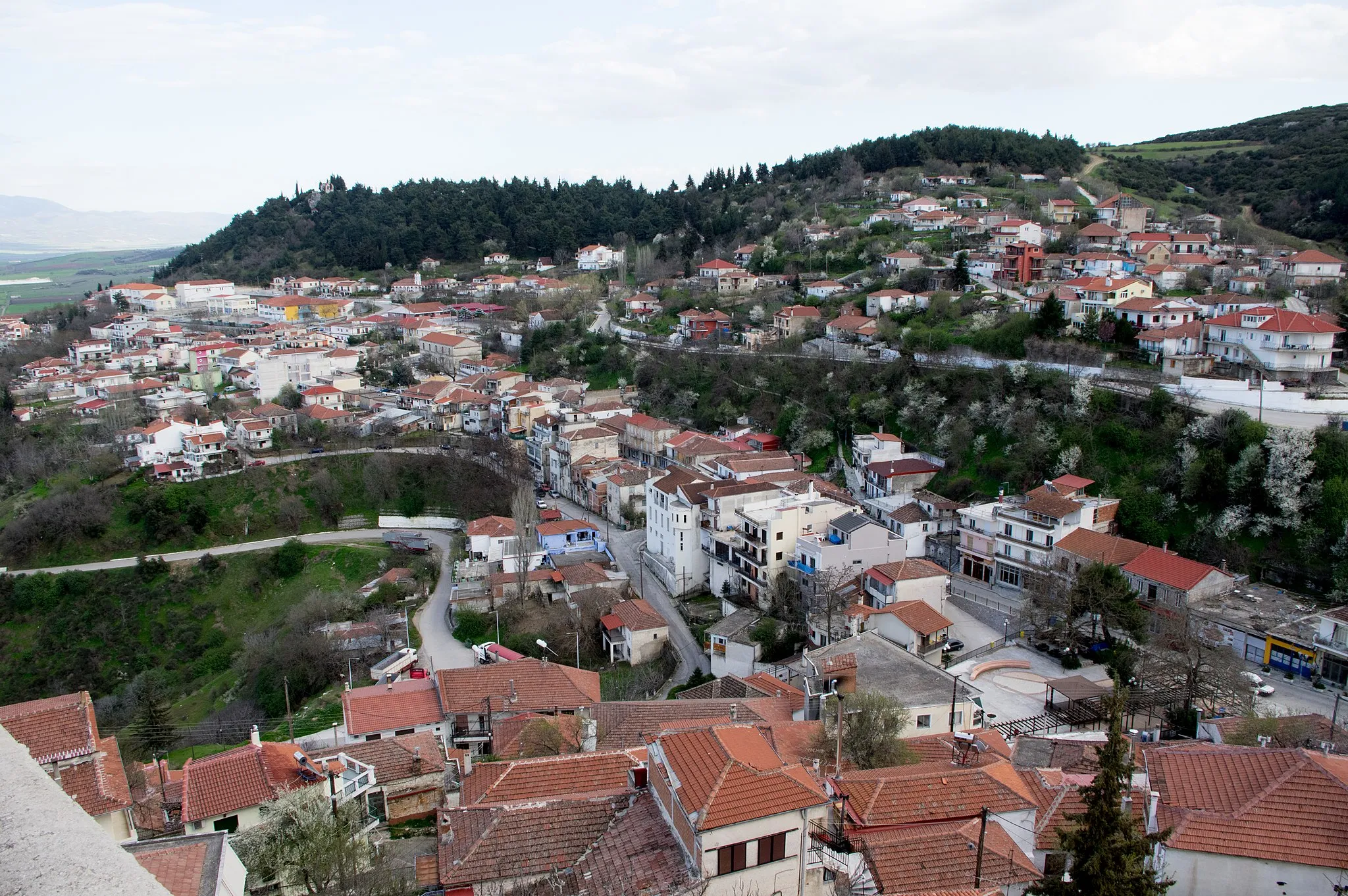 Photo showing: Domokos as seen from the akropolis.