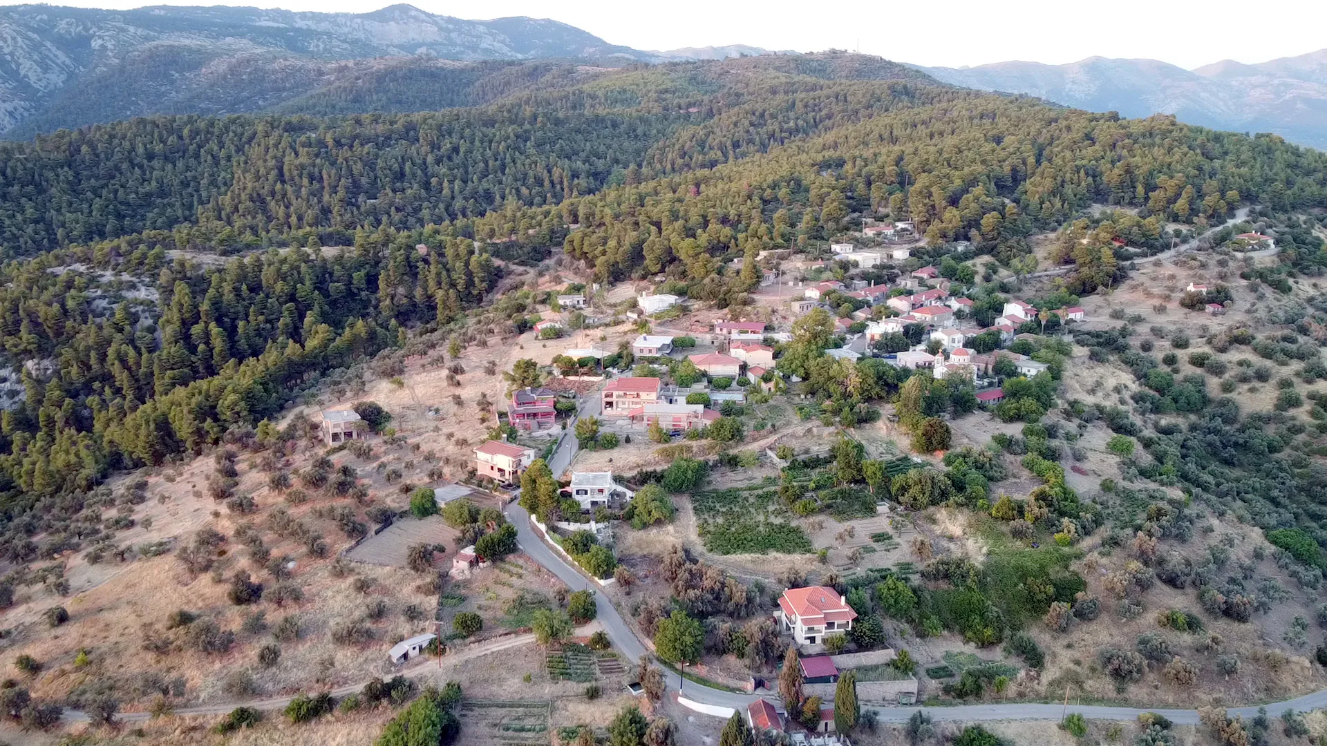 Photo showing: Πλατάνα Μεσσαπίων