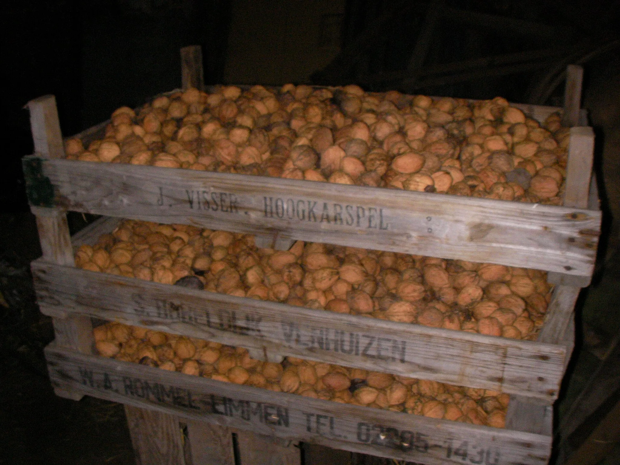 Photo showing: Kisten met walnoten