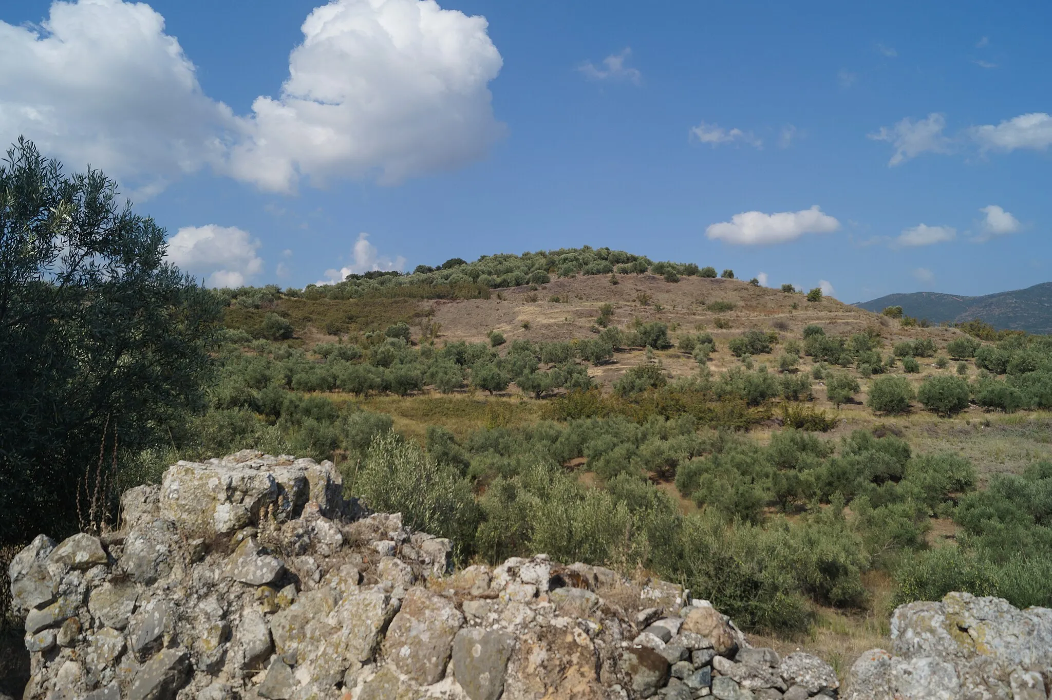 Photo showing: Koroneia, Boeotia, Greece: View from the ruins of a medieval tower to the west on the acropolis of Coroneia.