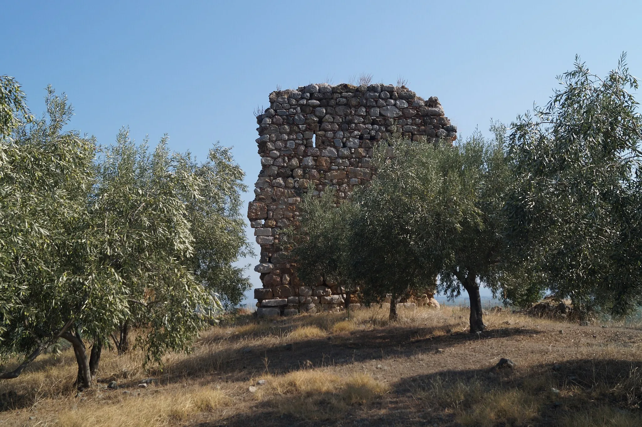 Photo showing: Koroneia, Boeotia, Greece: View from south on the ruins of a medieval tower east of the acropolis of Coroneia.)