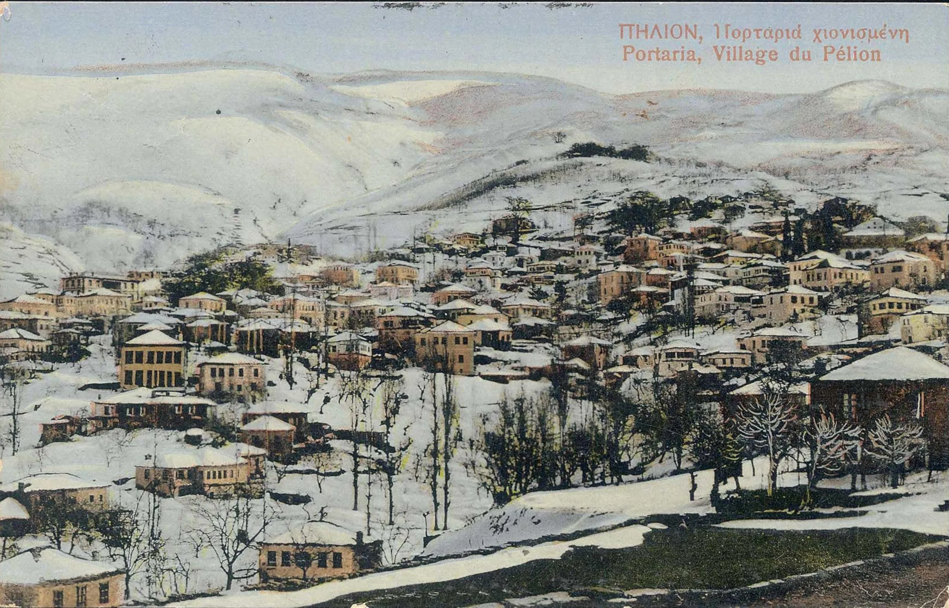 Photo showing: Portaria (Greece). Coloured b&w postcard No. 115 in the creator's numbering.