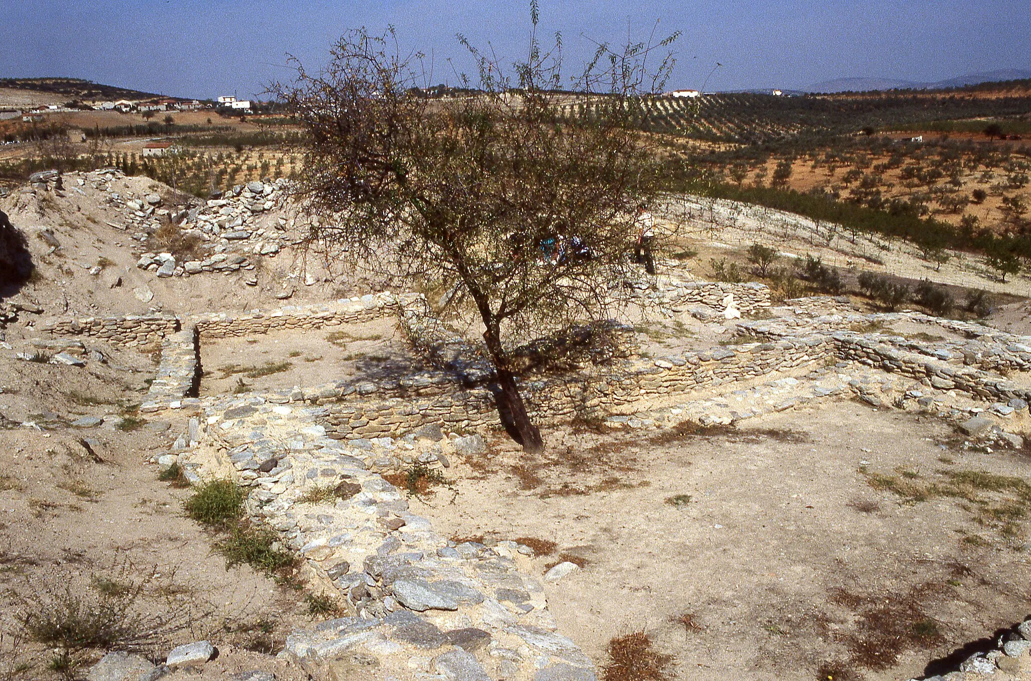 Photo showing: Sesklo, Thessaly. Houses at the northeast corner of the mound, from the south.