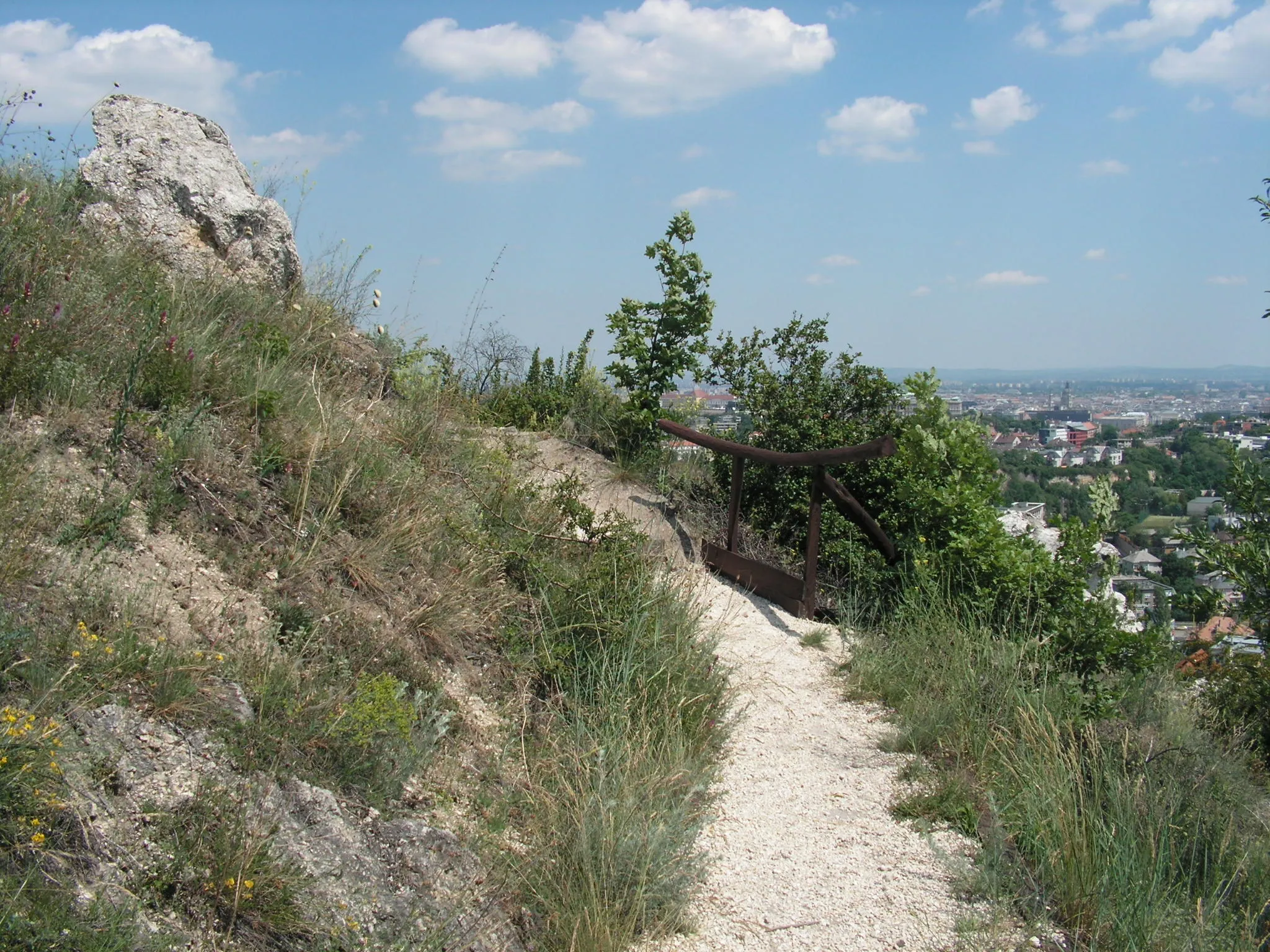 Photo showing: A Duna-Ipoly Nemzeti Park üzemelteti a a Budai Sas-hegy Természetvédelmi Területet. Itt kerül bemutatásra a Budai hegyekre jellemző dolomit szikla gyep. A területről nagyszerű kilátás nyílik a Gellért hegyre és a Budai várra.