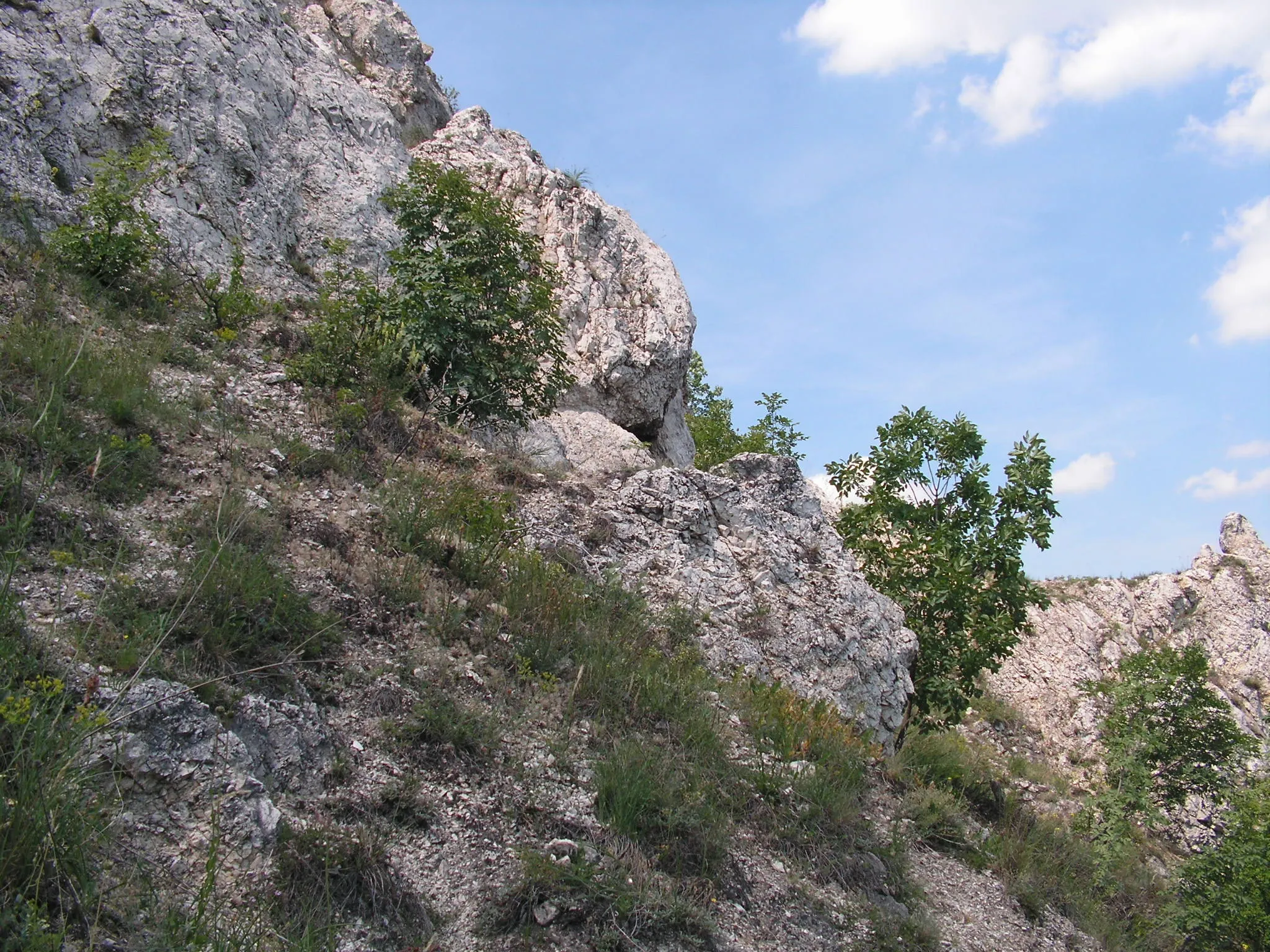 Photo showing: A Duna-Ipoly Nemzeti Park üzemelteti a a Budai Sas-hegy Természetvédelmi Területet. Itt kerül bemutatásra a Budai hegyekre jellemző dolomit szikla gyep. A területről nagyszerű kilátás nyílik a Gellért hegyre és a Budai várra.