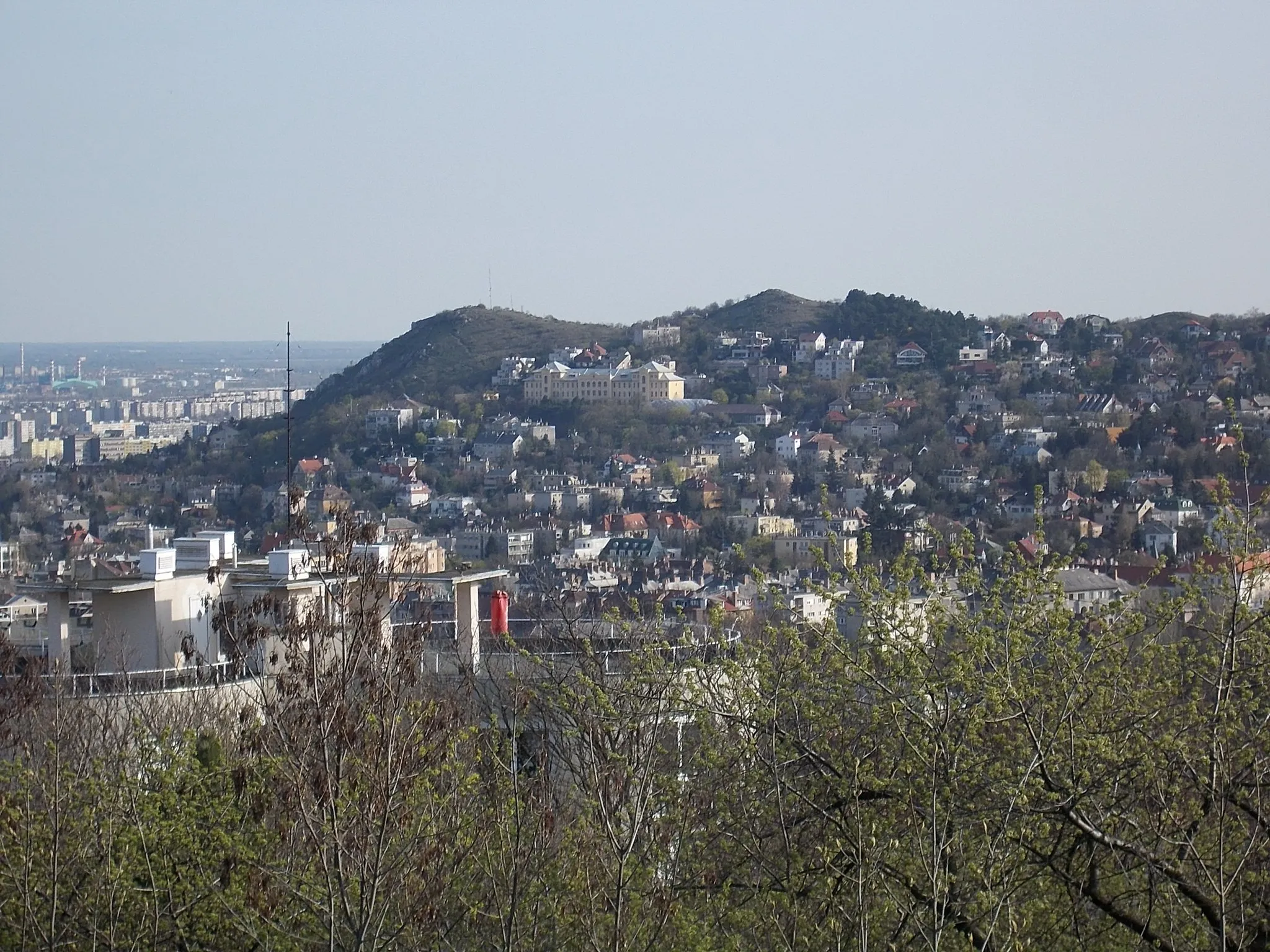 Photo showing: Kis-Sváb Hill Protection Area which is part of the Buda landscape protection area and Duna-Ipoly National Park. Former called Martinovics Hill. The hill primarly consist of Upper Triasssic (200 mio. ys old) dolomite which is covered by late Eocene (38 mio. ys old) fossiliferous limestone. Most interesting fossils are calcite and baryte crystals, these have been found in the limestone quarries. Flora: the most important local plants are: saxicolous grasses and carstic scrub forests. - Budapest District XII., Hungary.