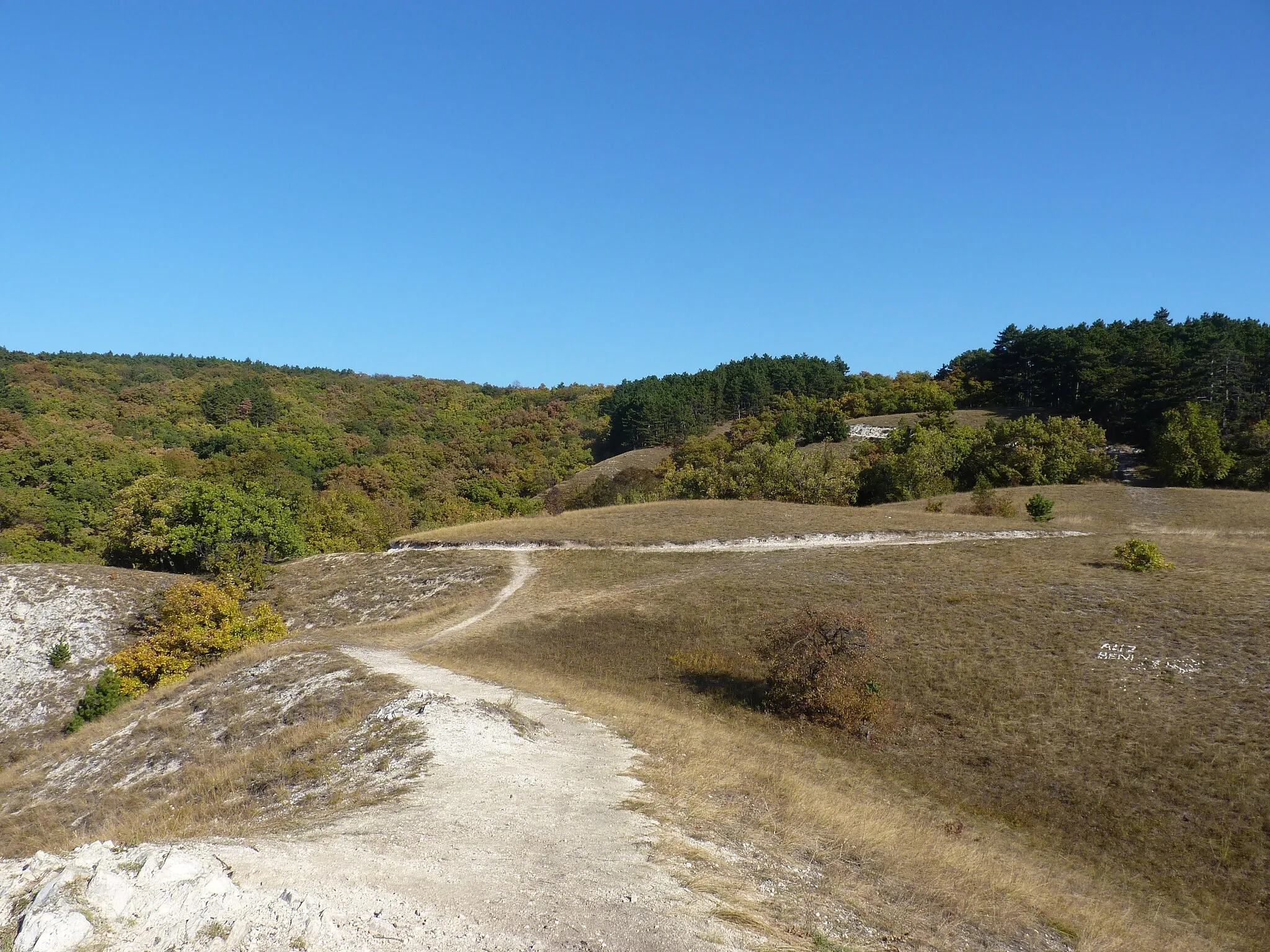 Photo showing: Buda Hills