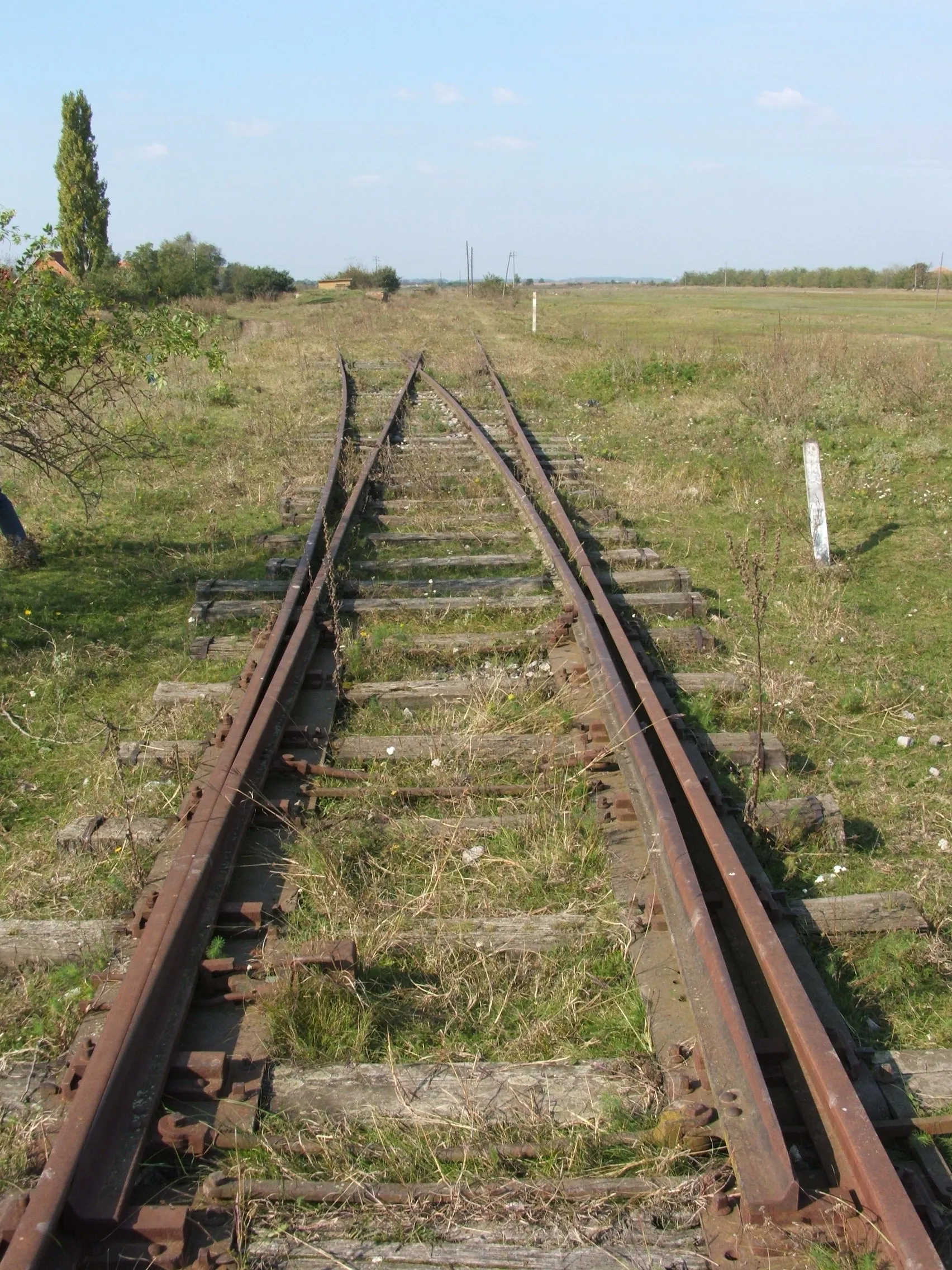 Photo showing: Szanád állomás egykori rakodóvágányának kiágazása az állomás déli végén. A másik kitérőt elbontották, így a vágány csonkán végződik. A felvételi épület és a raktár sem áll.