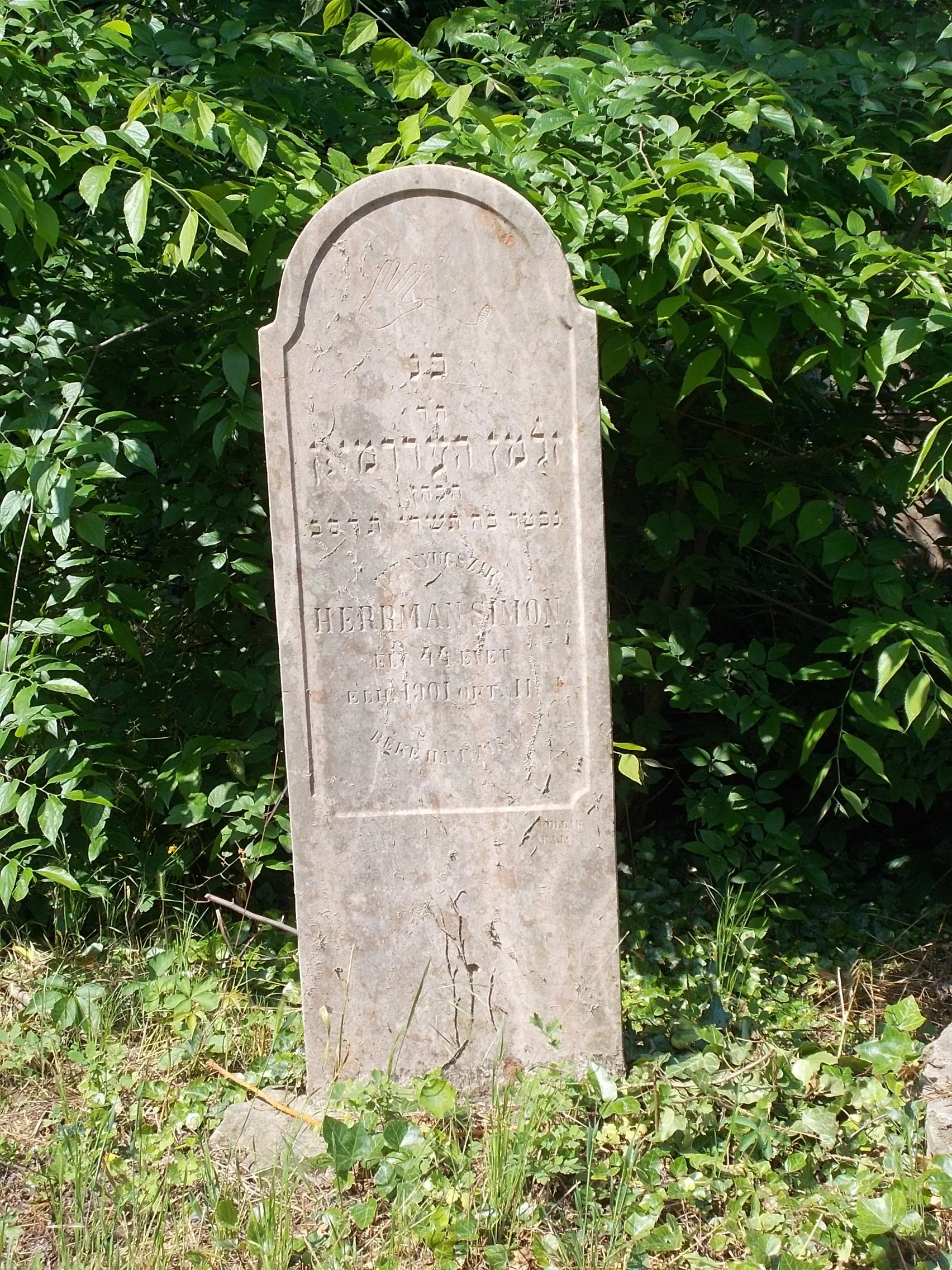 Photo showing: Jewish cemetery, the old Jewish cemetery west part. Listed. Opened in 1789. Closed in 1950. It is bordered by a brick wall on the Szegedi Road side and a wire fence on the other three sides. Its wrought-iron entrance with a semicircular closure opens in the middle of the brickwork. In the cemetery there are about five to seven thousand graves marked with sandstone, limestone, granite and marble tombstones. Near the entrance stands the crypt/mausoleum of the Fischer family, made in 1899, surrounded by a wrought-iron fence. - c. 3 Fűzfa Street, c 103 Szegedi Road, Kiscsávoly neighbourhood, Baja, Bács-Kiskun County, Hungary.