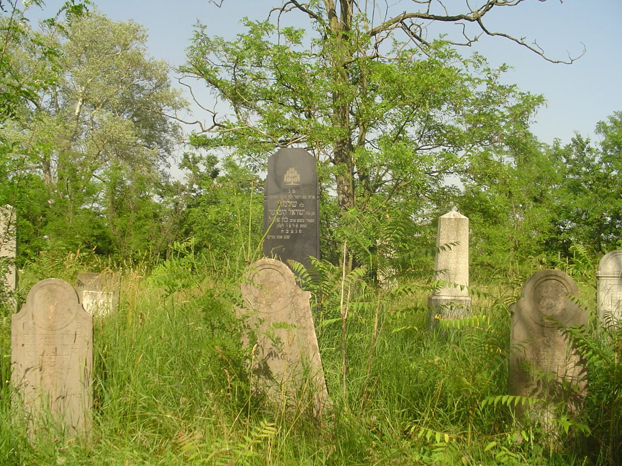 Photo showing: Jewish cemetary from Fülöpszállás (Hungary)